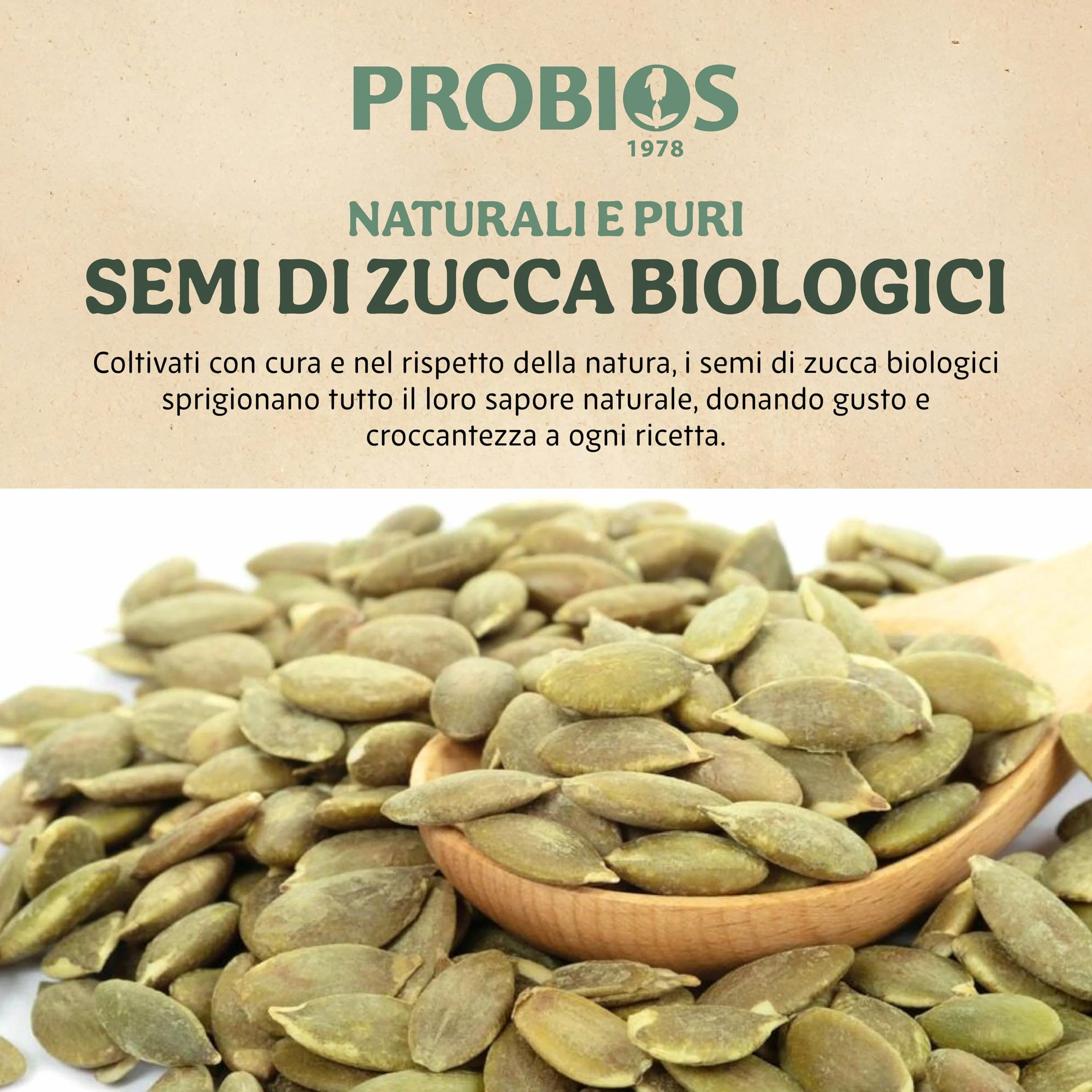 Probios Semi di Zucca Bio - Ricchi di Nutrienti - Perfetto per Piatti Dolci e Salati - Deliziosi e di Qualità Premium Semi Zucca - Confezione da 5 kg
