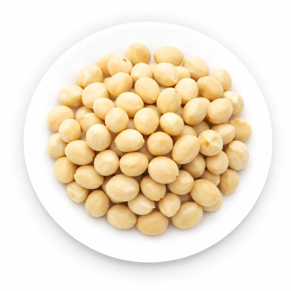 Oltresole, Noci di Macadamia Crude Sgusciate 1 Kg, Frutta Secca al Naturale Senza Sale, in Barattolo Richiudibile, Snack Salutare, Gusto Delicato e Cremoso, Selezionate