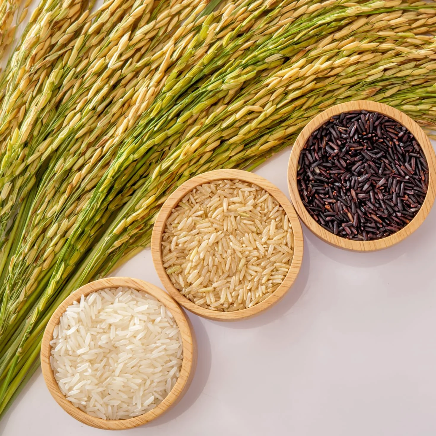 ROYAL THAI RICE - Riso al gelsomino a chicco lungo - 1 X 20 KG