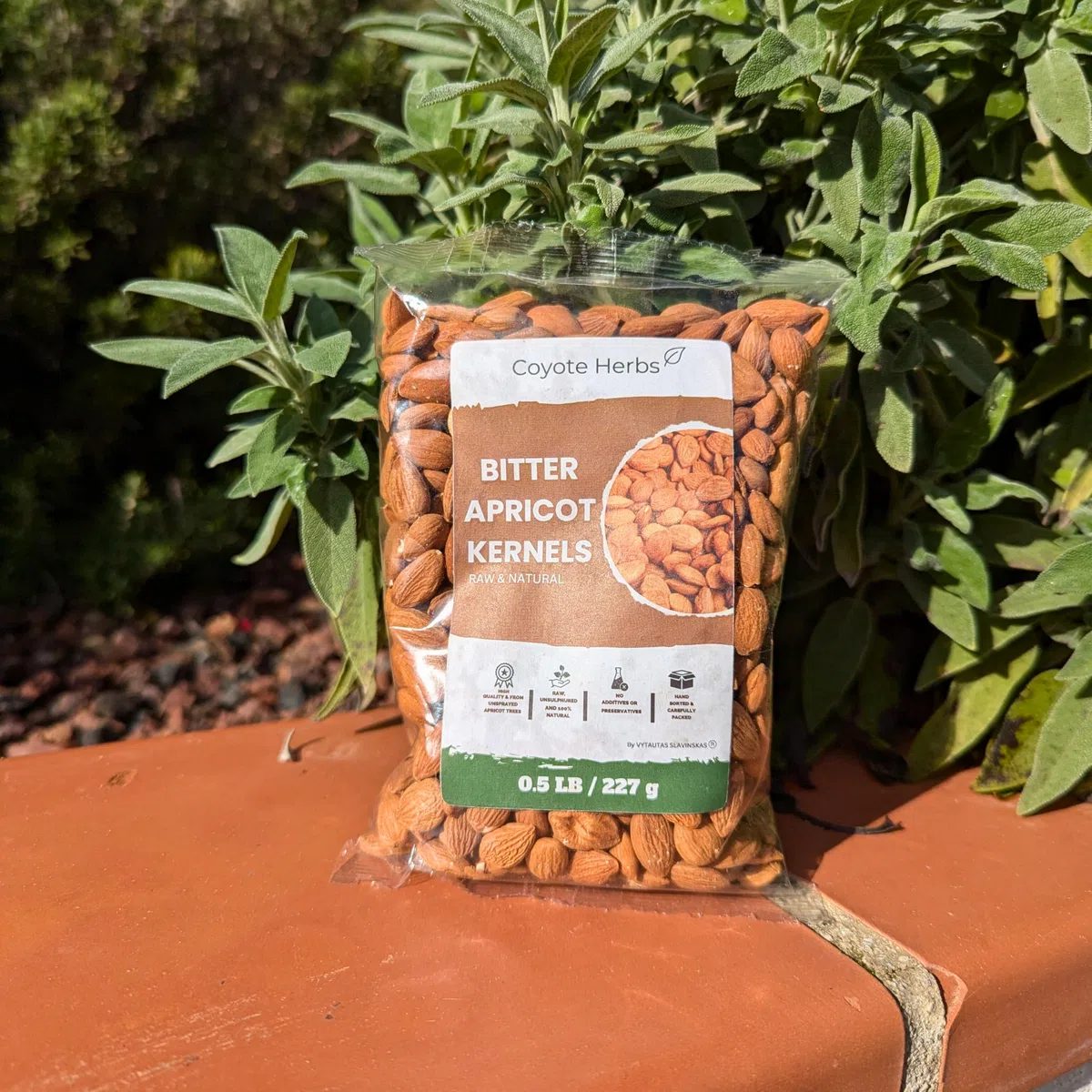 Noccioli di Albicocca Amari Naturali 227g/8 oz: Semi Grezzi & Mandorle