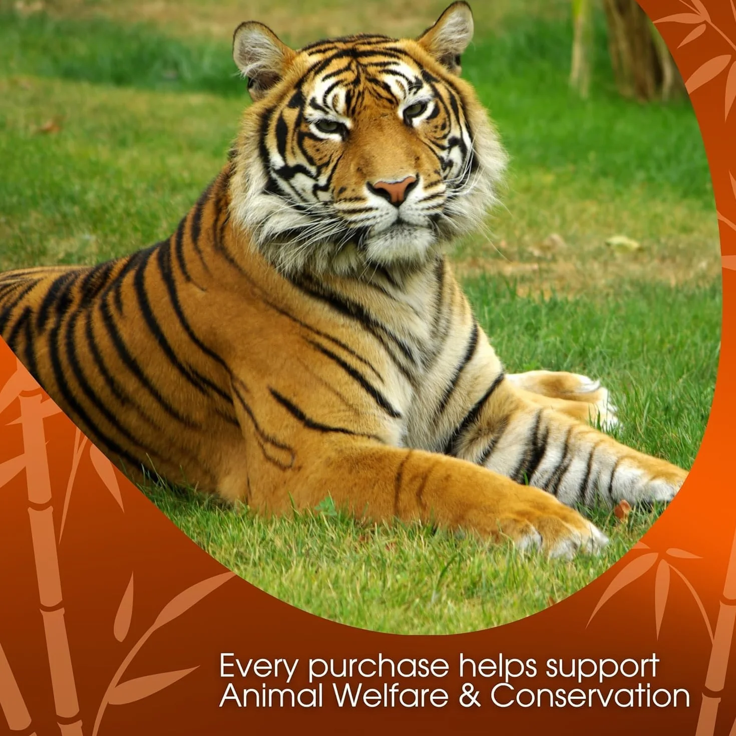 David Rio - OrderlyEmails - Recommended Products - David Rio Food Service Bag Tiger Spice Chai, 1er Pack (1 x 1.8 kg)