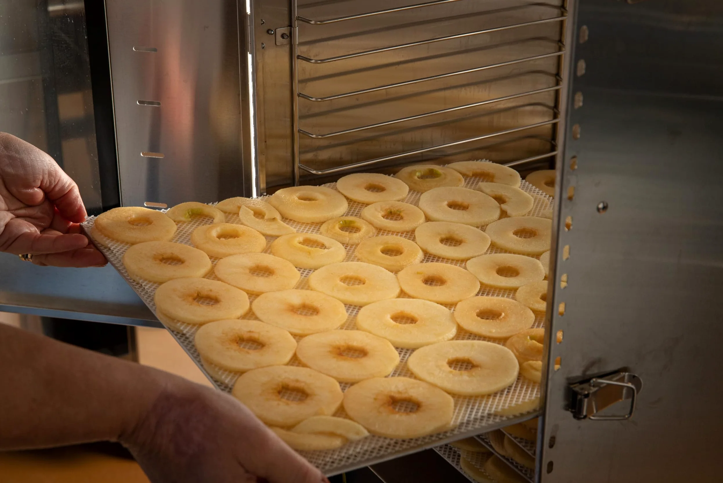 Mele essiccate (10 confezioni) – snack dolce naturale – anelli di mela del Trentino – senza zuccheri aggiunti – Made in Italy – Gustonatura