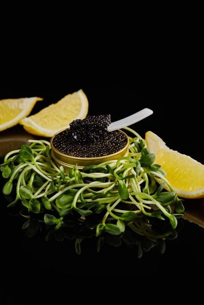 Caviale Nero 250g | Caviale di storione | Caviale di pesce | Caviale Malossol | Brand: Caviale TSARINE | Sapore delicato con un finale unico