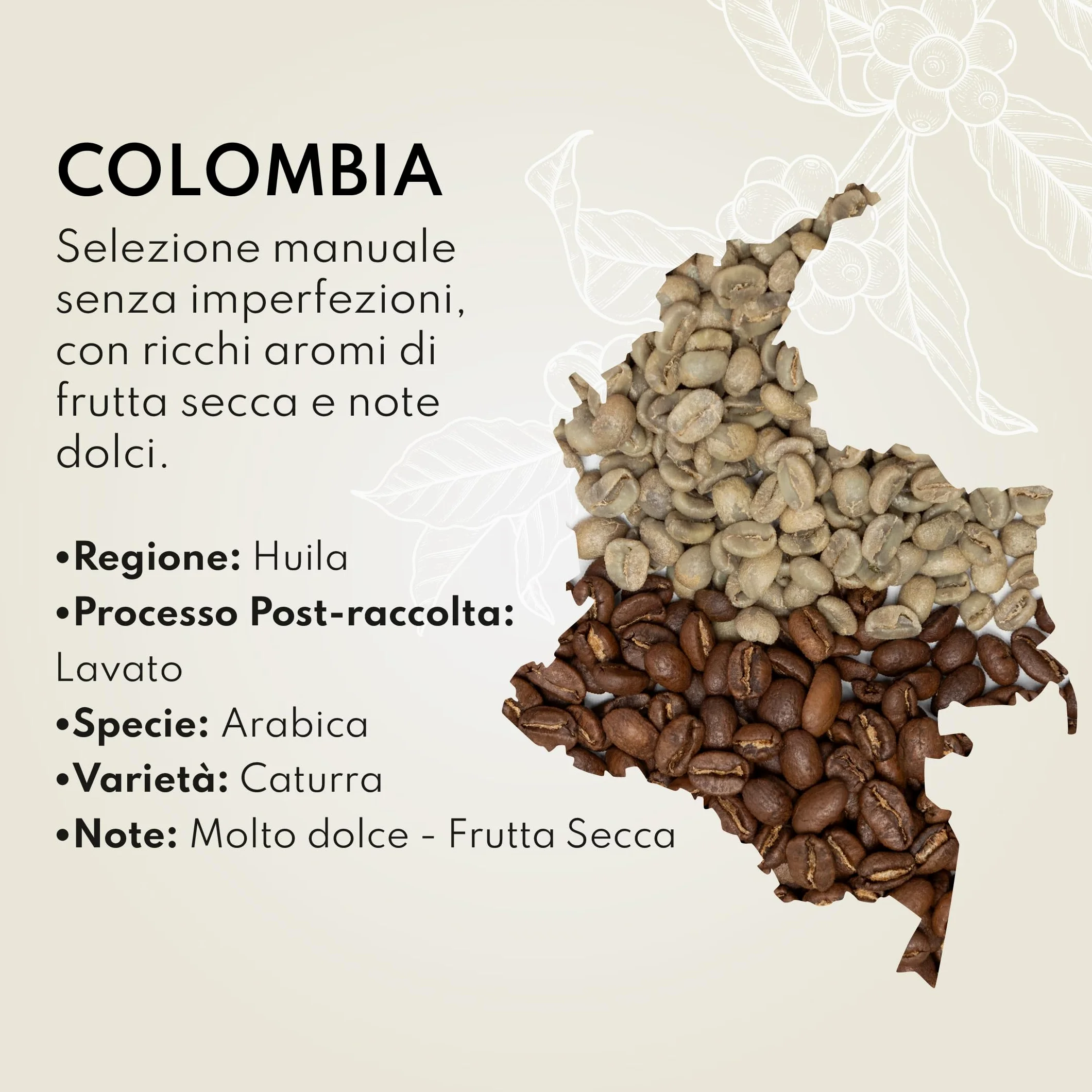 Bocono Specialty Coffee. Caffè Colombiano Specialty Coffe. Caffe in Grani 1 kg. Caffè in Grani Naturale di Specialità Tostatura Media Artigianale. Processo Lavato. Caffe in Grani Arabica per Espresso