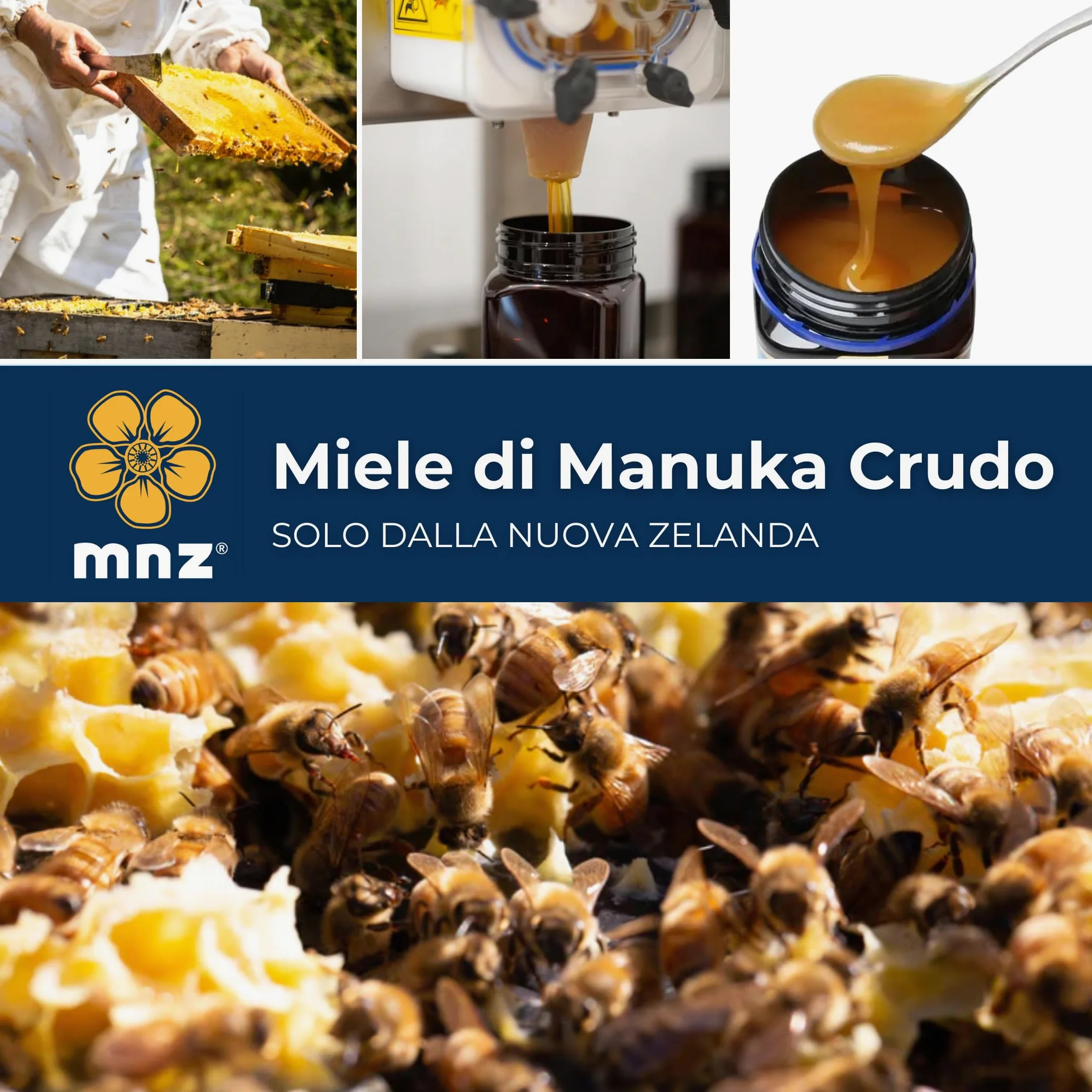 MNZ Miele di Manuka crudo 400+ MGO da 250 grammi, monofloreale puro, prodotto e invasettato crudo in Nuova Zelanda