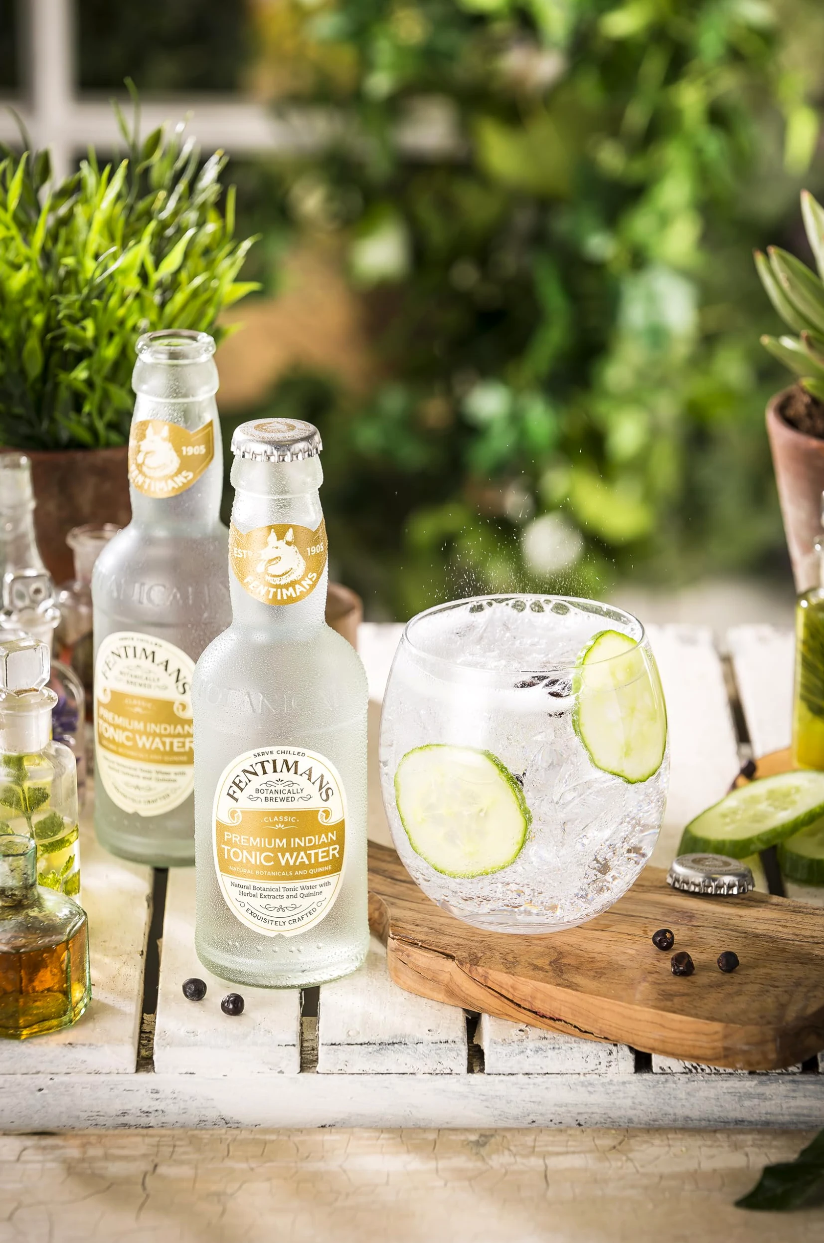Fentimans Premium Indian Tonic Water, 200 ml, 24 Pezzi