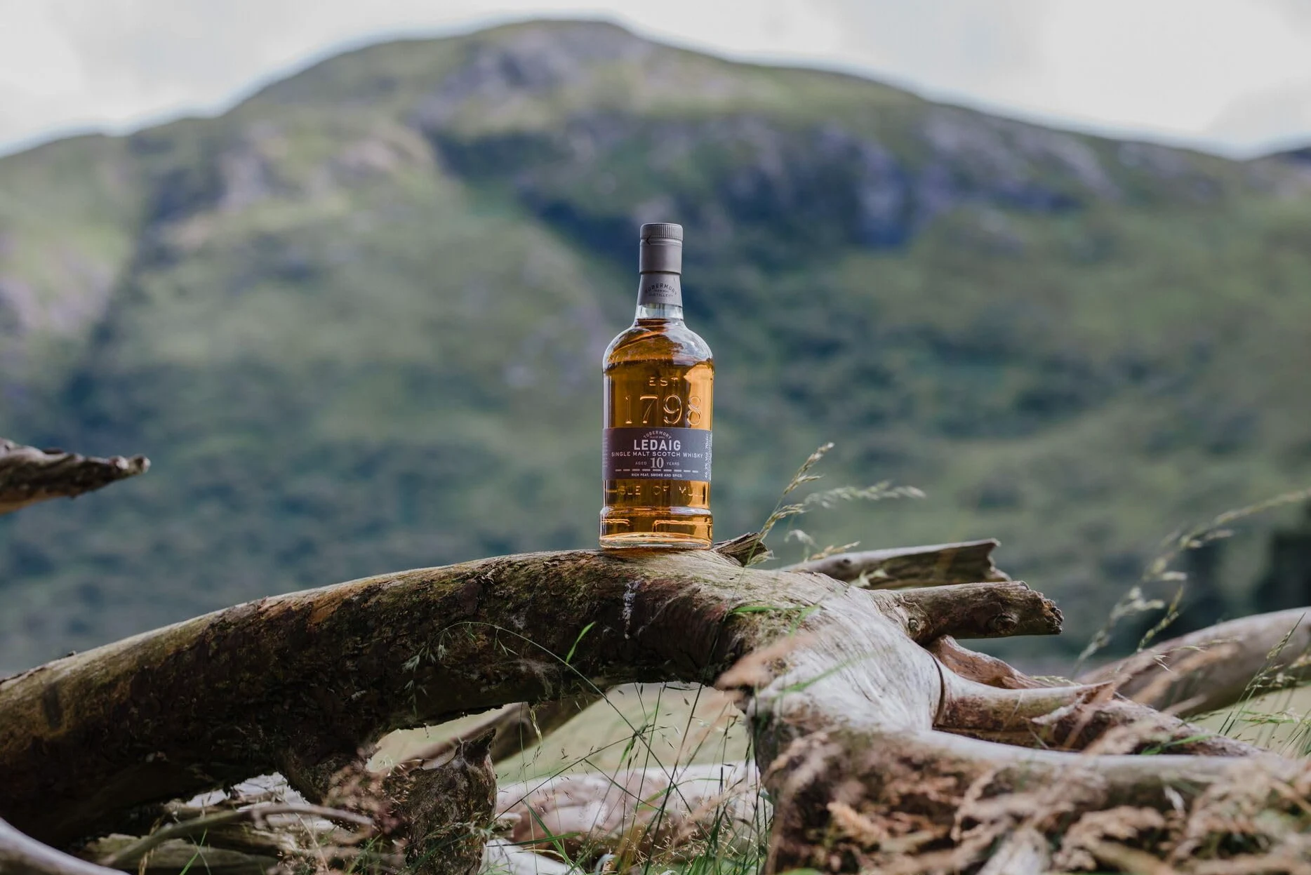 Ledaig 10 Ans - Single Malt Scotch Whisky Île de Mull - 46.3% 70 cl - Avec coffret - Whisky riche et tourbé