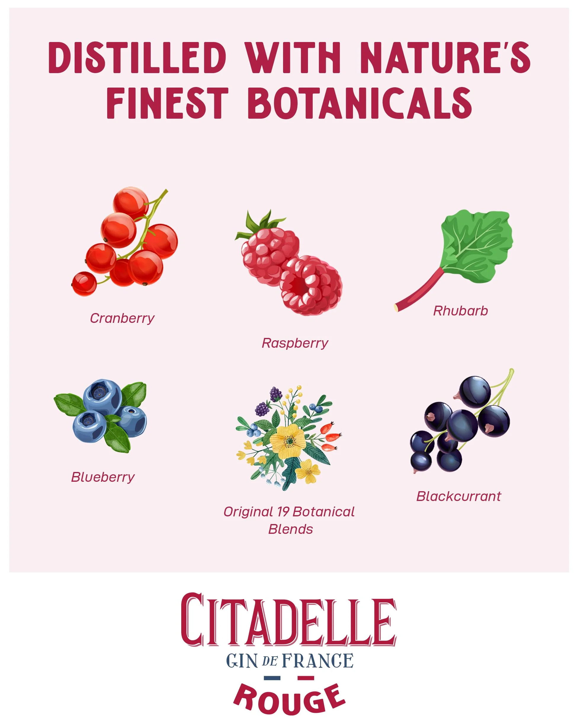 Citadelle, Gin Rouge, 700ml, Ideale per Gin Tonic Fruttato, Note di Frutti Rossi, Dolci e Piccanti, 24 Botaniche, Gin Artigianale Francese Distillato in Alambicco Tradizionale, Idea Regalo, 41,7% Vol.