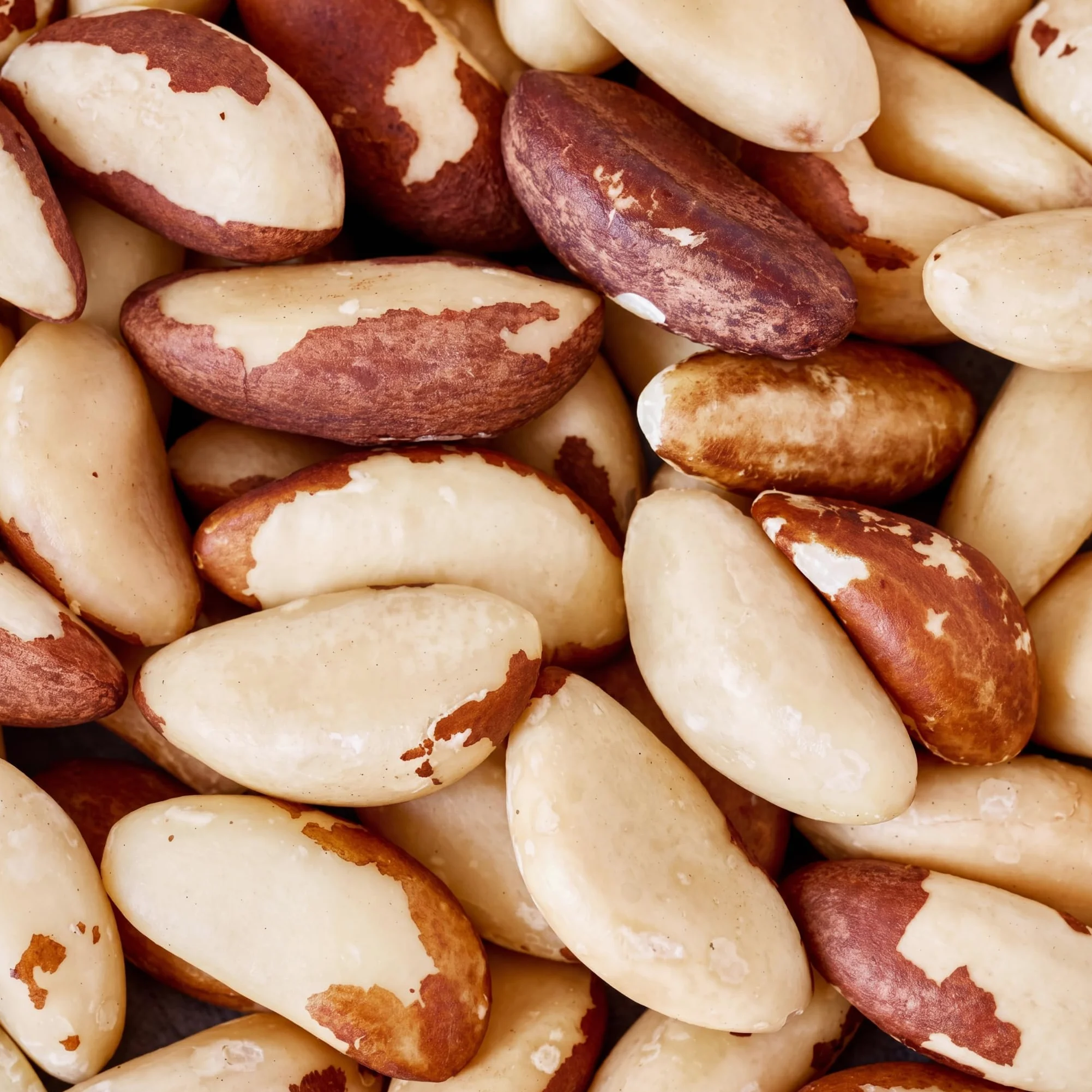 nut&me Noci del Brasile Premium1 kg | 100% naturale e Ricco di fibre e minerali | Senza glutine nè conservanti | snack sano e vegano