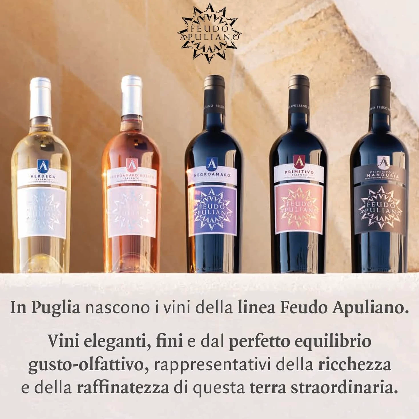 Feudo Apuliano Primitivo di Manduria DOP, Vino Rosso dal Gusto Corposo, Caldo con Retrogusto Persistente e Avvolgente, con Note di Frutta Matura, 15% Vol, Confezione con 6 Bottiglie da 750 ml