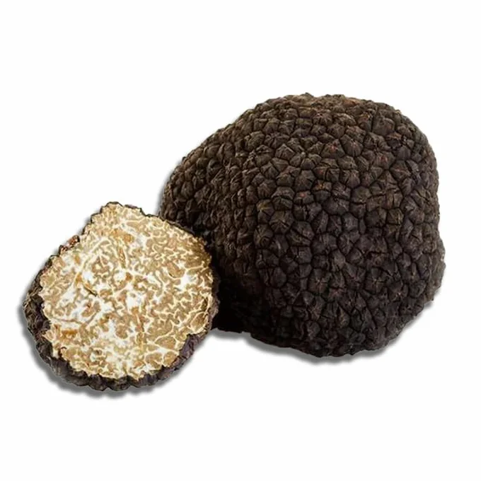 Tartufo Nero Estivo Fresco | Scorzone | Tartufi Freschi | 100 G | Calabria |Tuber Aestivum Vittadini | E TIPIC