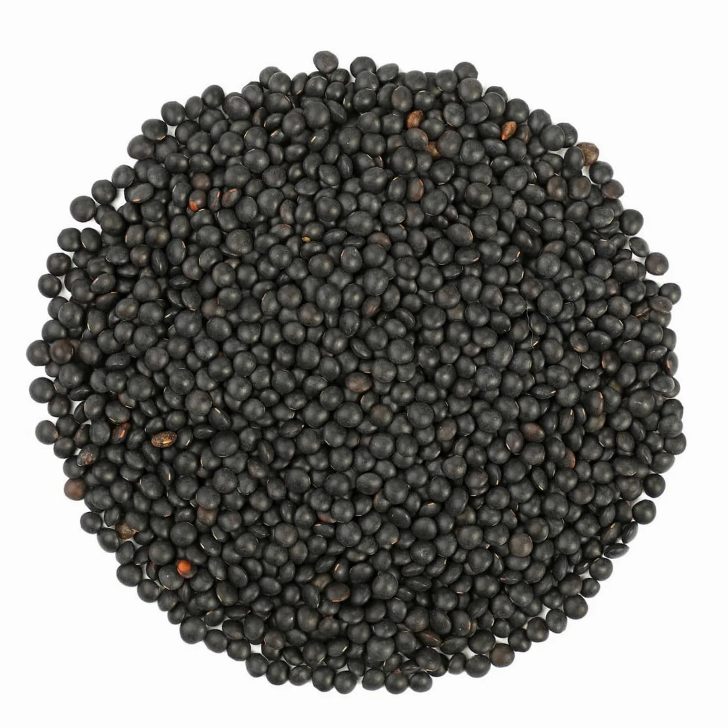 BONGIOVANNI FARINE E BONTA' NATURALI Lenticchie Nere di Beluga BIO - 5 Kg