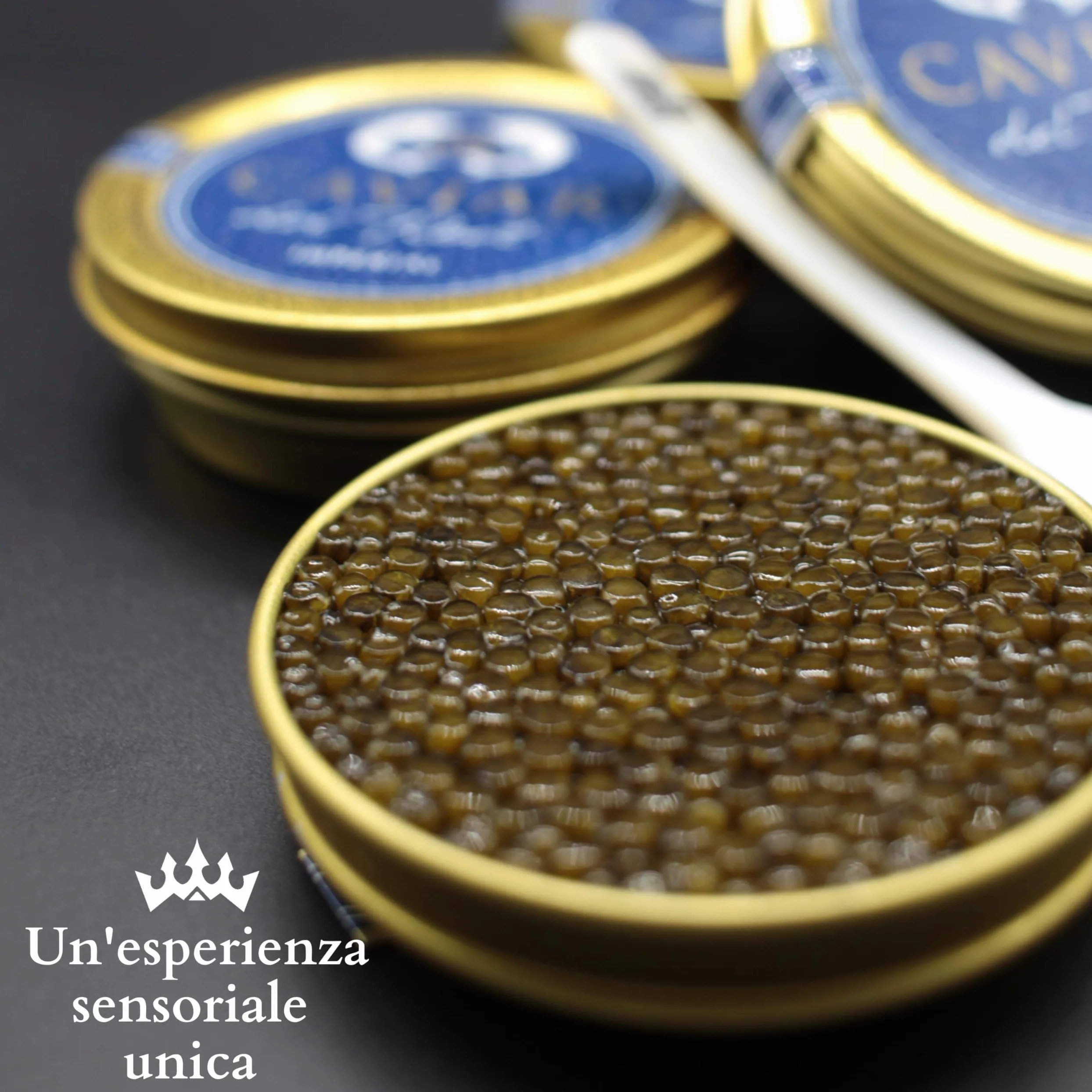 Caviale del Tibet – Caviale Imperiale 50gr – Caviale di Storione Ascipenser Schrenckii e Huso Dauricus – Uova di Caviale – Caviale Gourmet