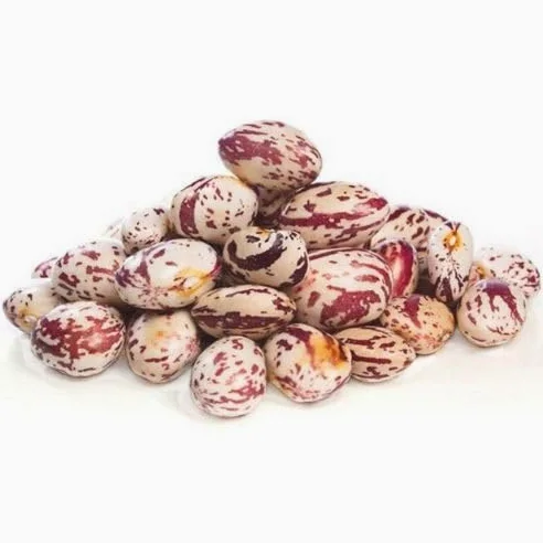 Fagioli Borlotti Italiani 25Kg BIO
