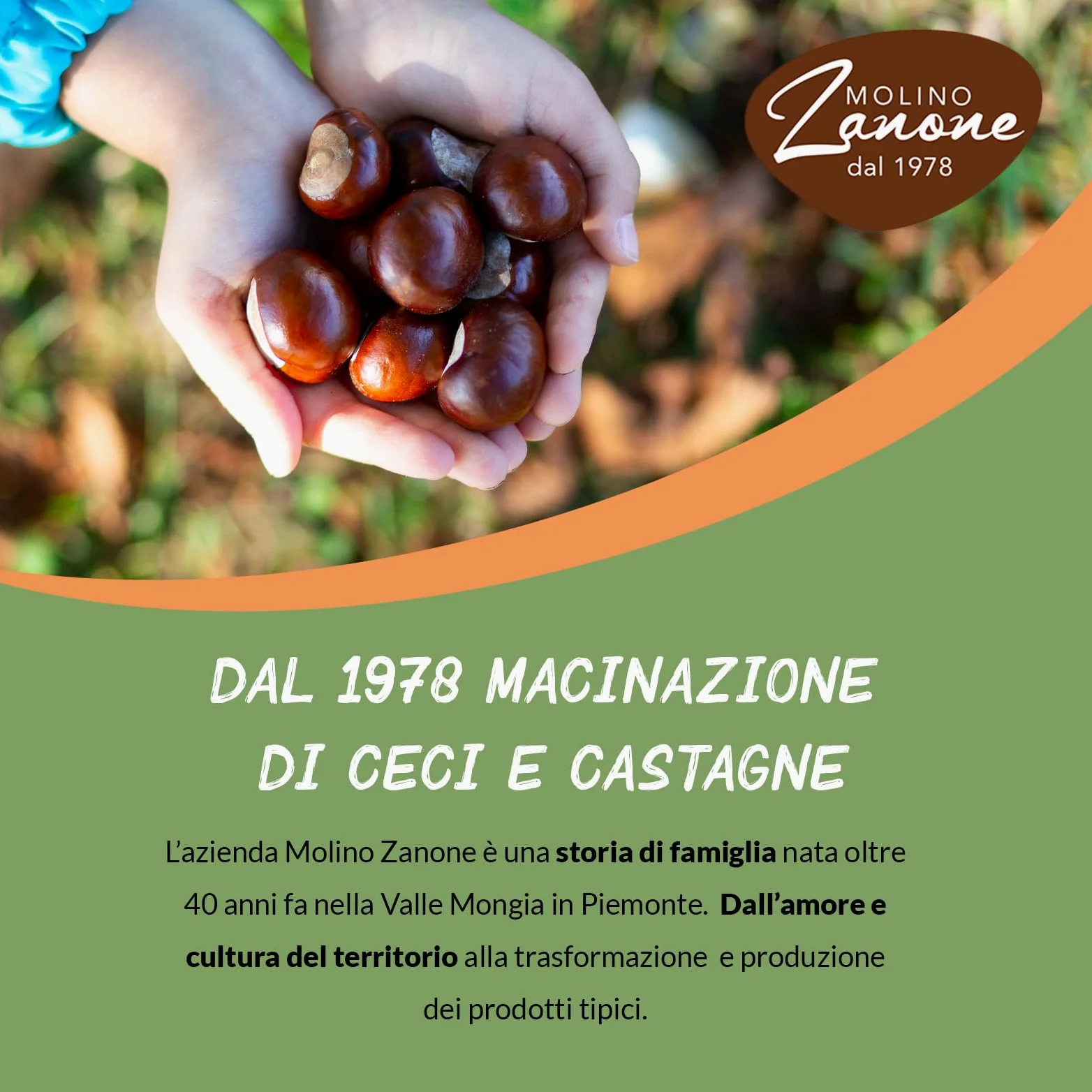 Maxi Box Zanut Contenente 20 Pezzi Da 100 g Castagne Morbide Cotte A Vapore Snack Naturali Pronti Da Gustare Senza Glutine E Senza Conservanti Basso Contenuto di Grassi e fonte Di Fibre