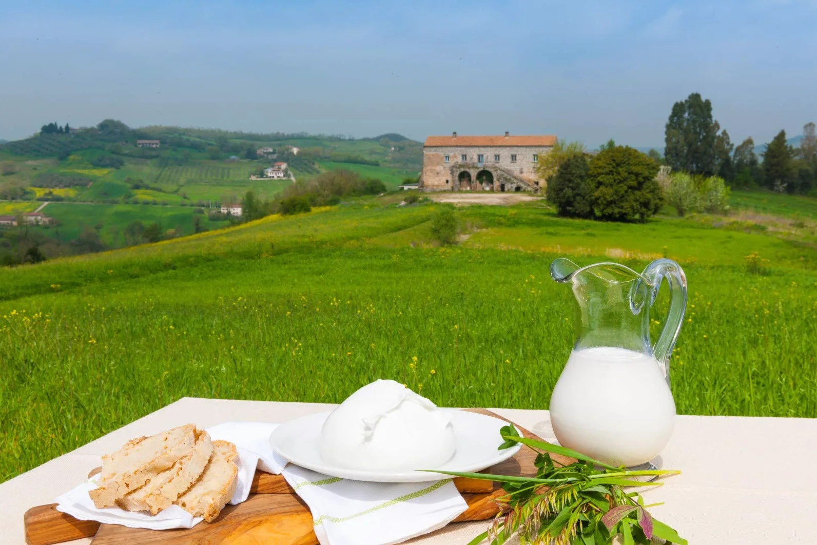 Mozzarella Aversana 100% latte di bufala fresco appena munto (Mozzarella di bufala treccia 2 da 500 grammi)