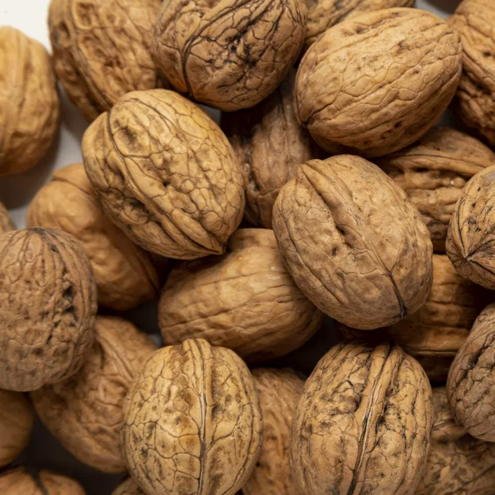 Il Contadino - Antichi Sapori | NOCI | Frutta Secca di Qualità Premium, Al Naturale, No Conservanti (5 Kg, Calibro 32/34)