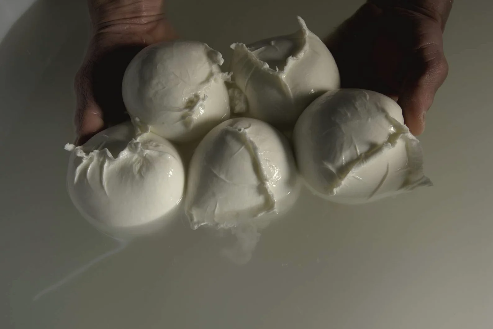 Mozzarella Aversana 100% latte di bufala fresco appena munto (Mozzarella di bufala treccia 2 da 500 grammi)