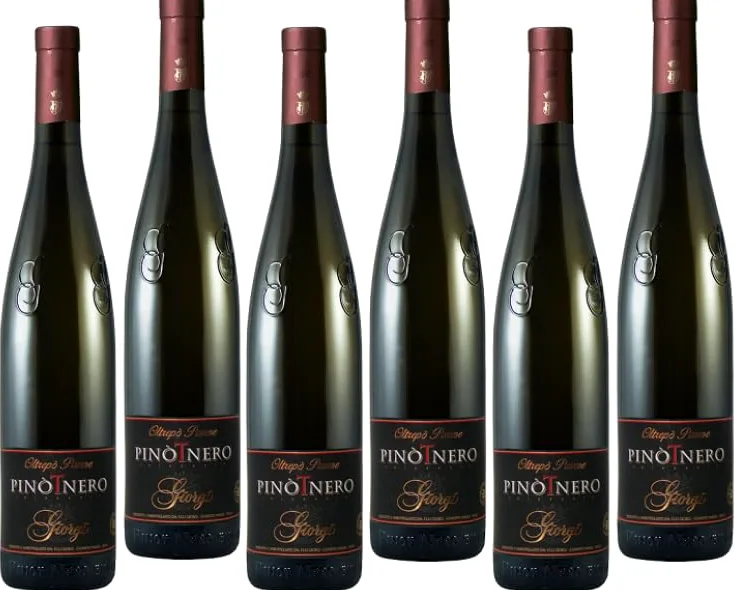 GIORGI PINOT NERO ROSATO VINO FRIZZANTE OLTREPO' PAVESE DOC 75 CL 6 BOTTIGLIE