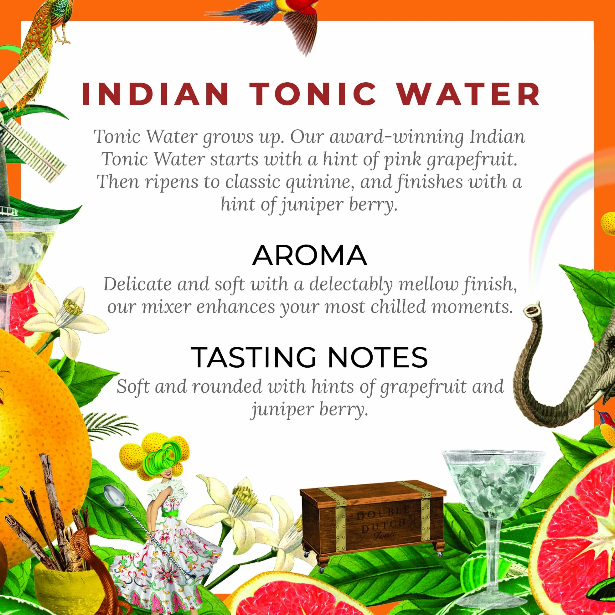 DOUBLE DUTCH Indian Tonic Water - 0,15L x 24 LATTINE