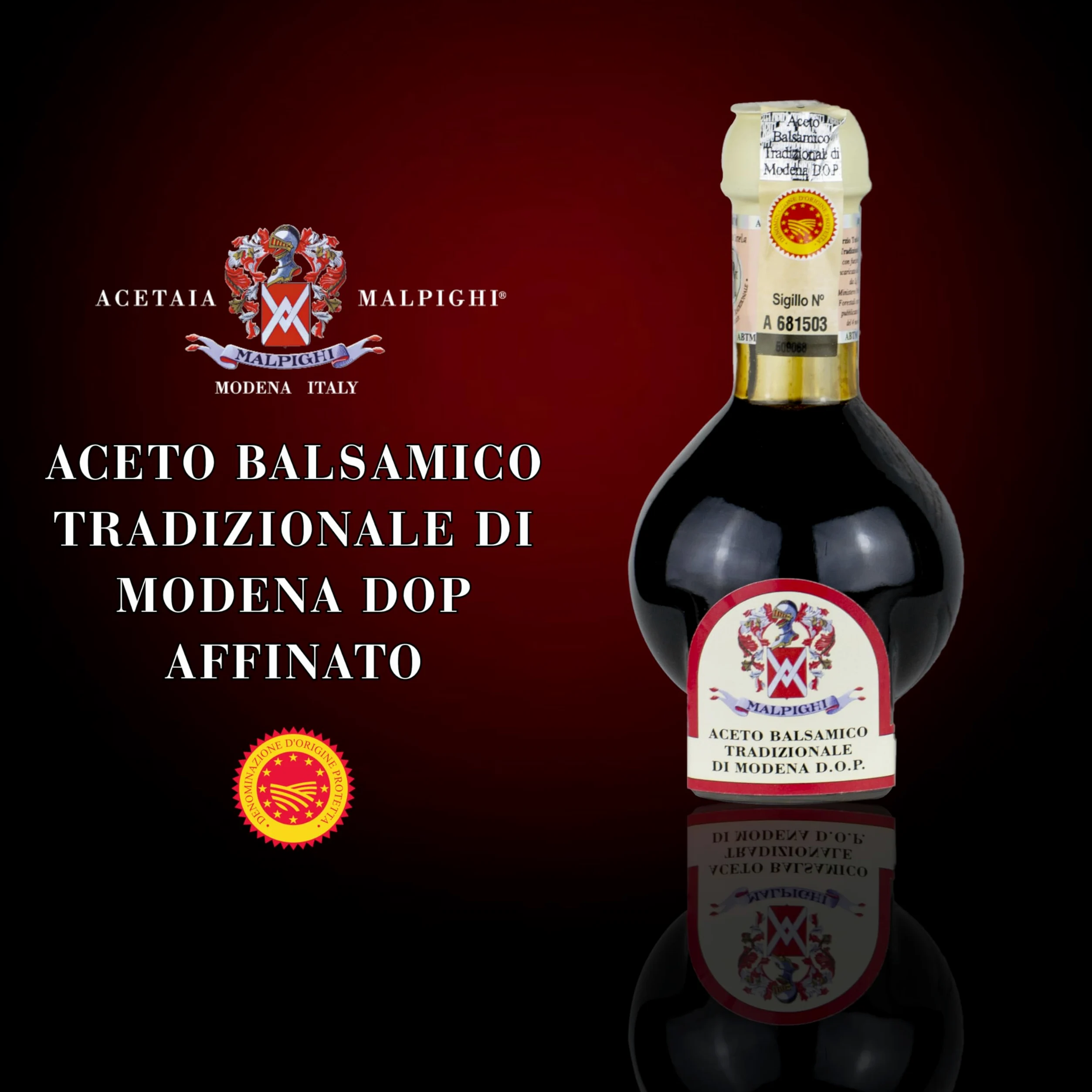 Aceto Balsamico Tradizionale di Modena DOP invecchiato 12 anni, 100ml, con Tappo dosatore e Ricettario