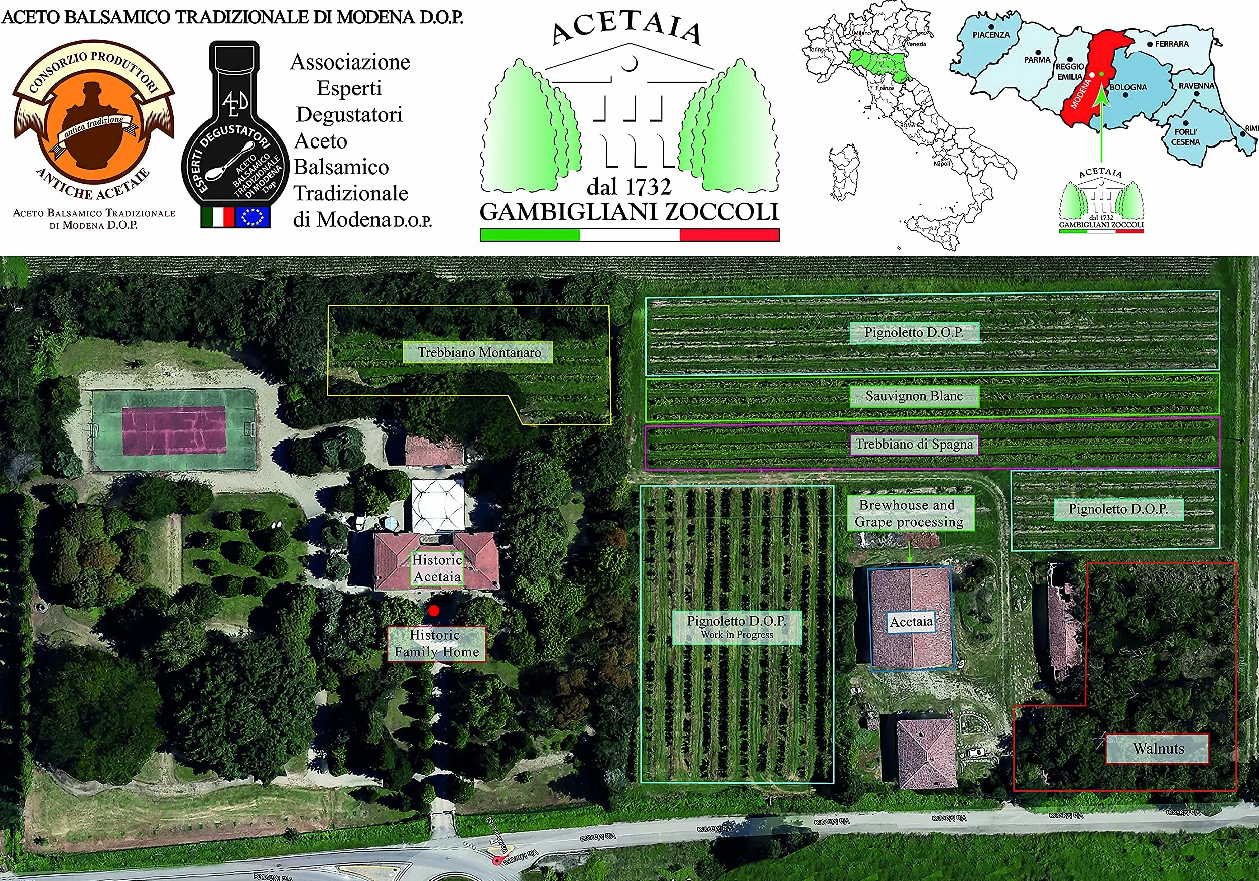 GAMBIGLIANI ZOCCOLI – ACETO BALSAMICO TRADIZIONALE DI MODENA CERTIFICATO D.O.P. MINIMO 12 ANNI D'INVECCHIAMENTO. Confezionato nel cofanetto ufficiale del consorzio produttori Antiche Acetaie
