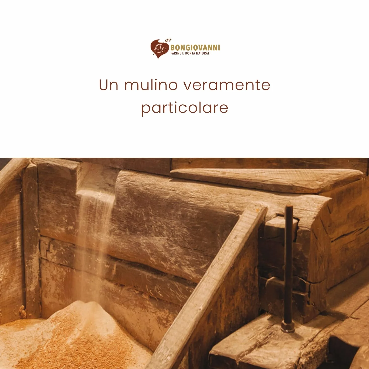 BONGIOVANNI FARINE E BONTA' NATURALI Riso Soffiato 5Kg BIO