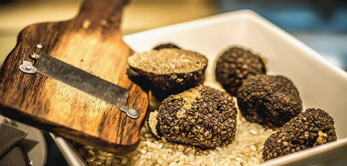 Tartufo Nero Estivo Scorzone Fresco 1° Scelta - 300 G