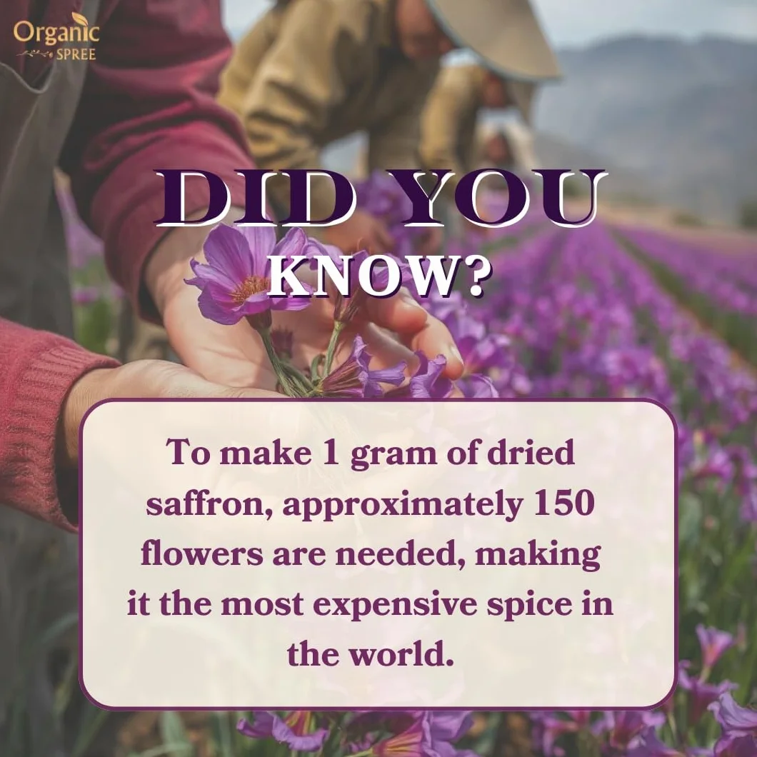 Zafferano Kesar Saffron del Kashmir biologico Spree 1 g (0,035 once) in fili puri e naturali l Dai migliori terreni agricoli di Pampore, zafferano Mongra certificato J&K di grado A+