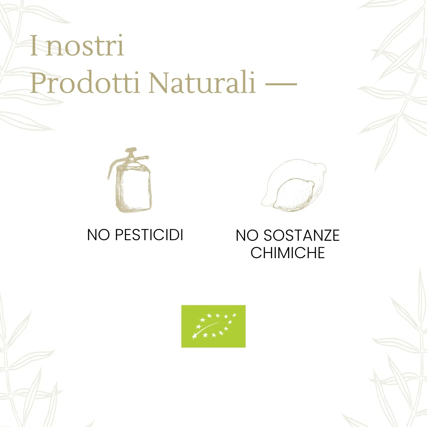 Arance 100% Siciliane e 100% Biologiche - Massima Freschezza e Sostenibilità, Arance Raccolte Direttamente dai Nostri Alberi - BIO 7 kg - - CERTIFICATE BIOLOGICHE, QUESTO FA LA DIFFERENZA!