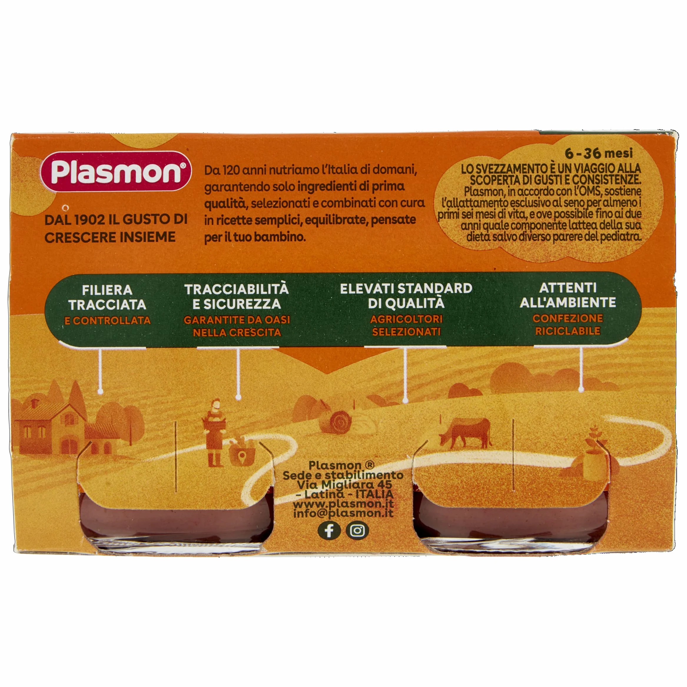 Plasmon Omogeneizzato Scoperte di Gusto Manzo e carote, 2x120g (12 Confezioni)