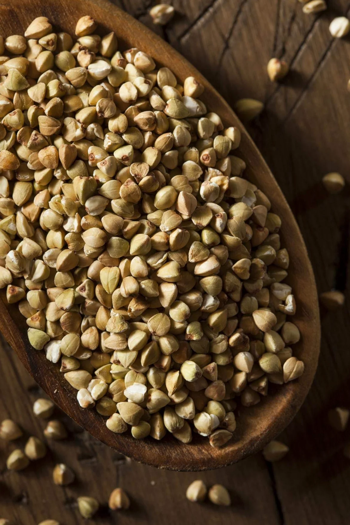 Bäckerei Spiegelhauer Grano saraceno biologico decorticato 25 kg I Senza glutine germinabile I Provenienza Lituania I Per pane germogliato germogli e farina vegano