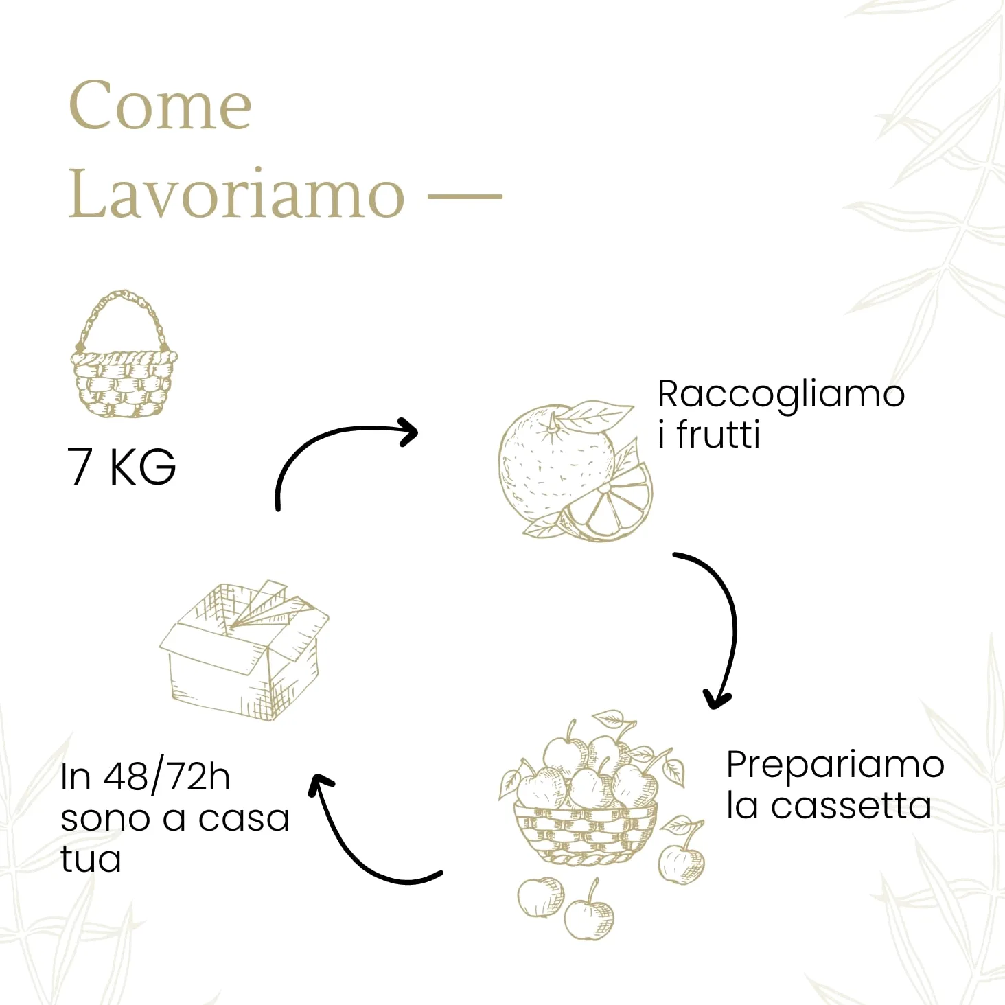 Arance 100% Siciliane e 100% Biologiche - Massima Freschezza e Sostenibilità, Arance Raccolte Direttamente dai Nostri Alberi - BIO 7 kg - - CERTIFICATE BIOLOGICHE, QUESTO FA LA DIFFERENZA!