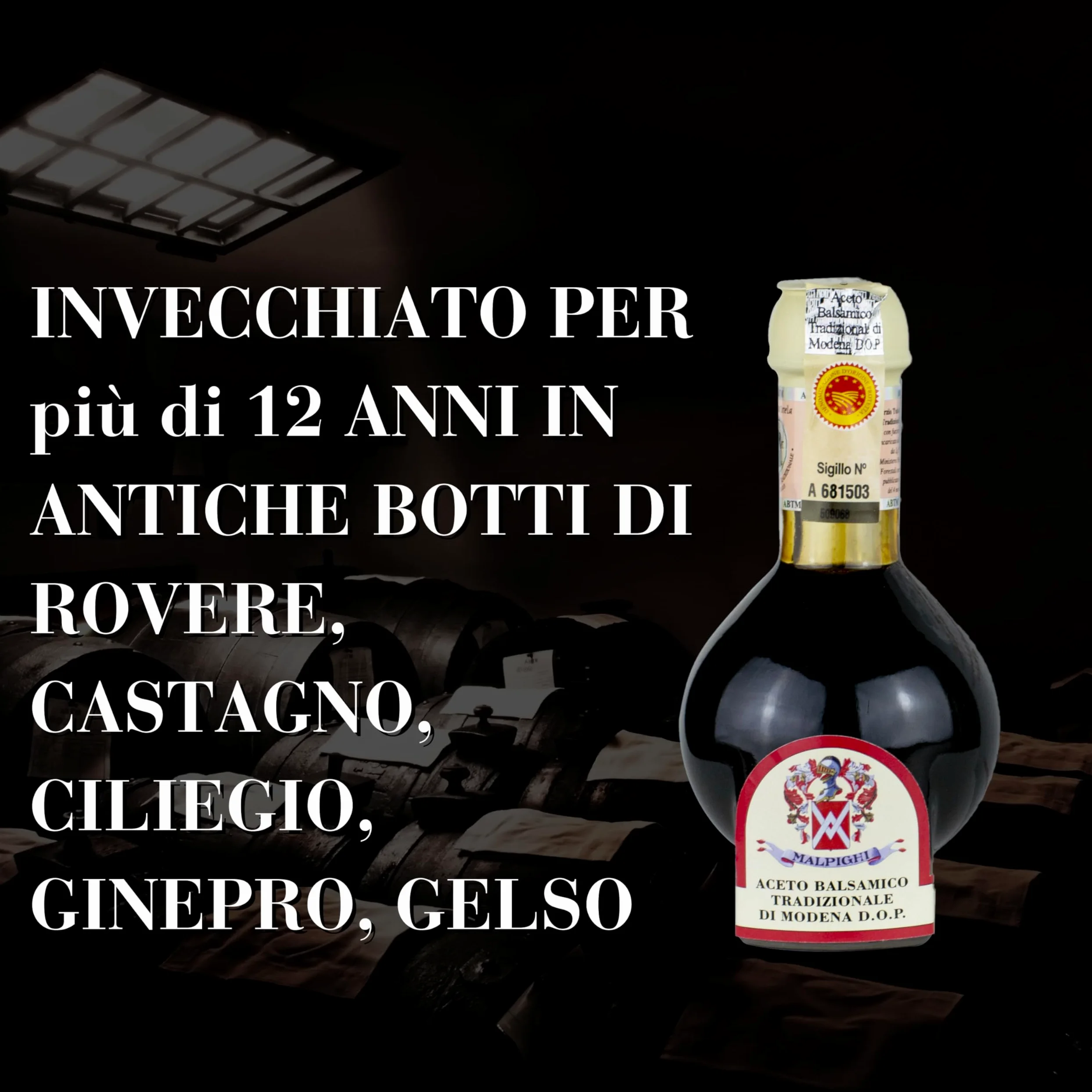 Aceto Balsamico Tradizionale di Modena DOP invecchiato 12 anni, 100ml, con Tappo dosatore e Ricettario