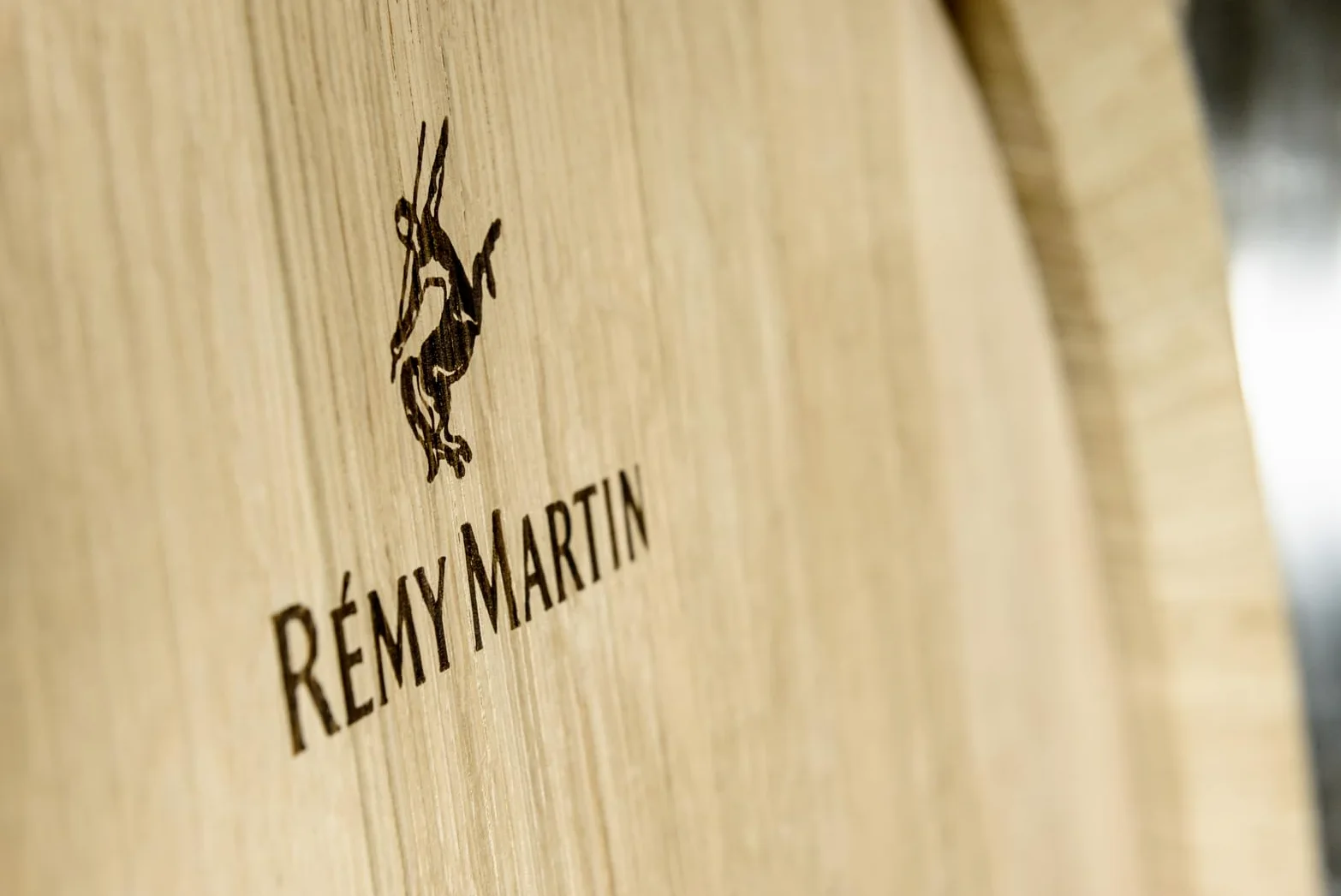 Rémy Martin XO 70cl Premium Pack - Cognac Fine Champagne. Note di Frutta Candita, Spezie e Cacao. 40% Vol.; Idea Regalo Esclusiva