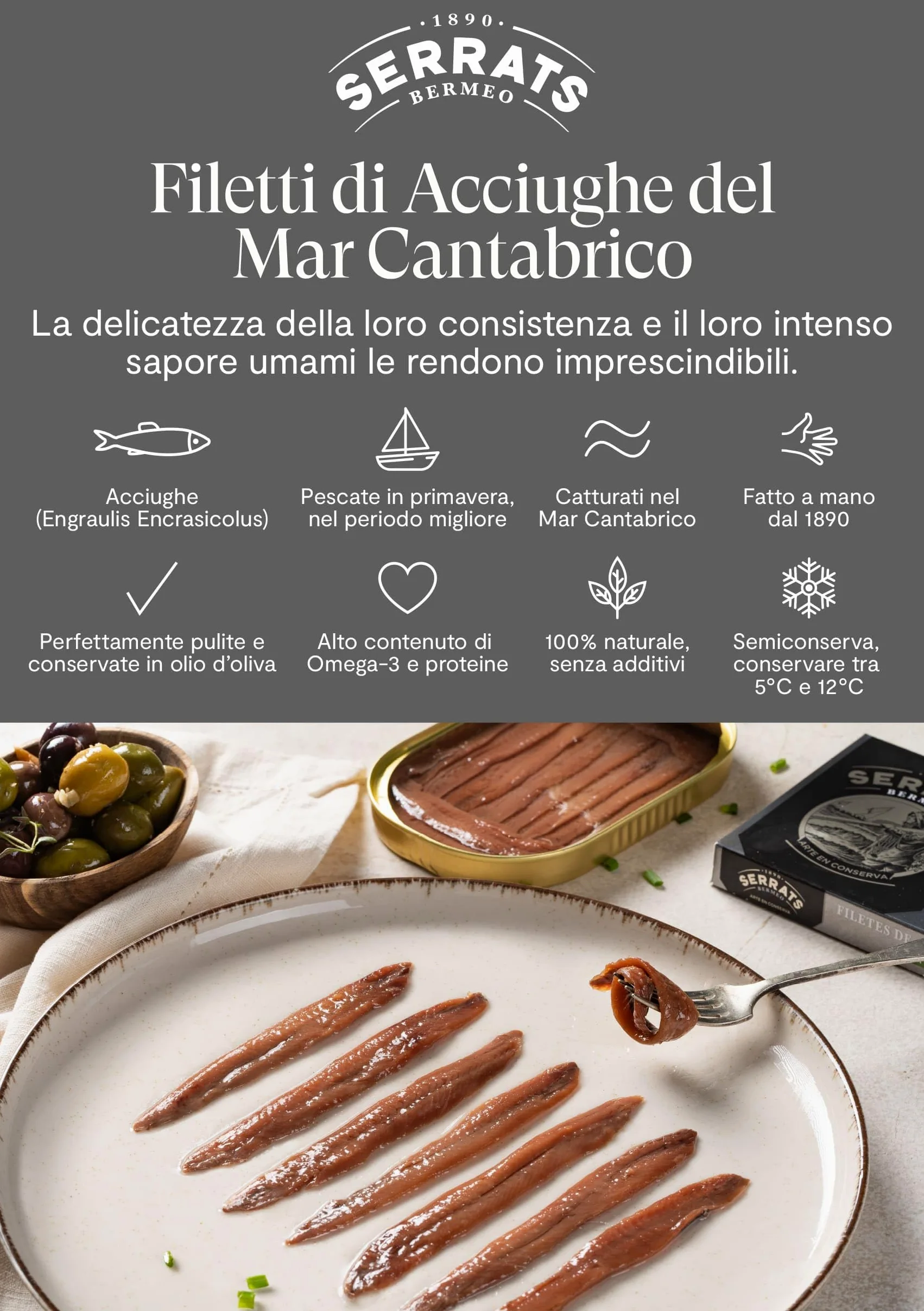 CONSERVAS SERRATS - Acciughe del Cantabrico in Olio d'Oliva - 12 Lattine x 50g (Totale: 600g) - Lavorazione Artigianale, 100% Naturale, Senza Spine, Gourmet, Alto contenuto di Omega 3