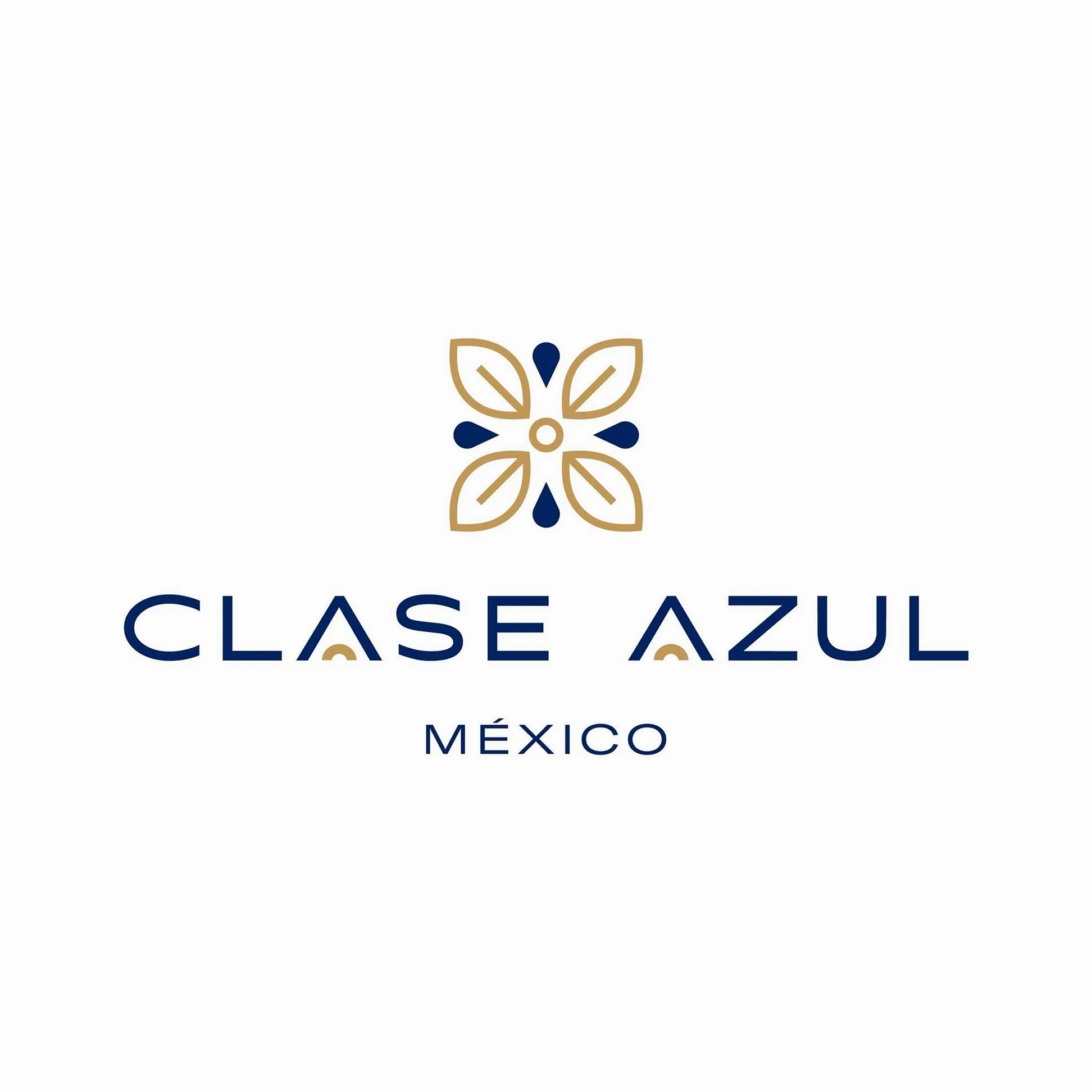 Clase Azul Tequila Reposado con Astuccio | Bottiglia in Ceramica Dipinta a Mano | 40% Vol. 1,75l