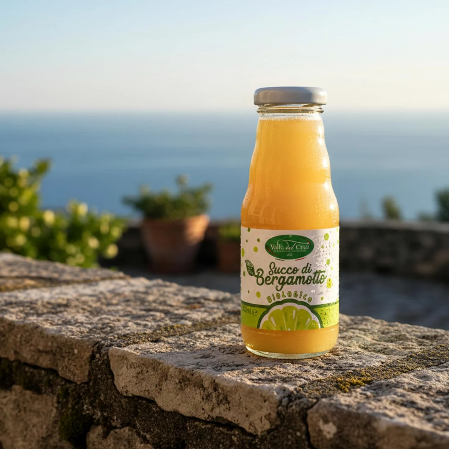 Valle del Crati Succo di Bergamotto BIO Calabrese | 100% Puro | 12 bottiglie da 200ml | senza Zuccheri Aggiunti e senza Conservanti | Bevanda Fresca e Dissetante | Spremuta di Bergamotto Biologico