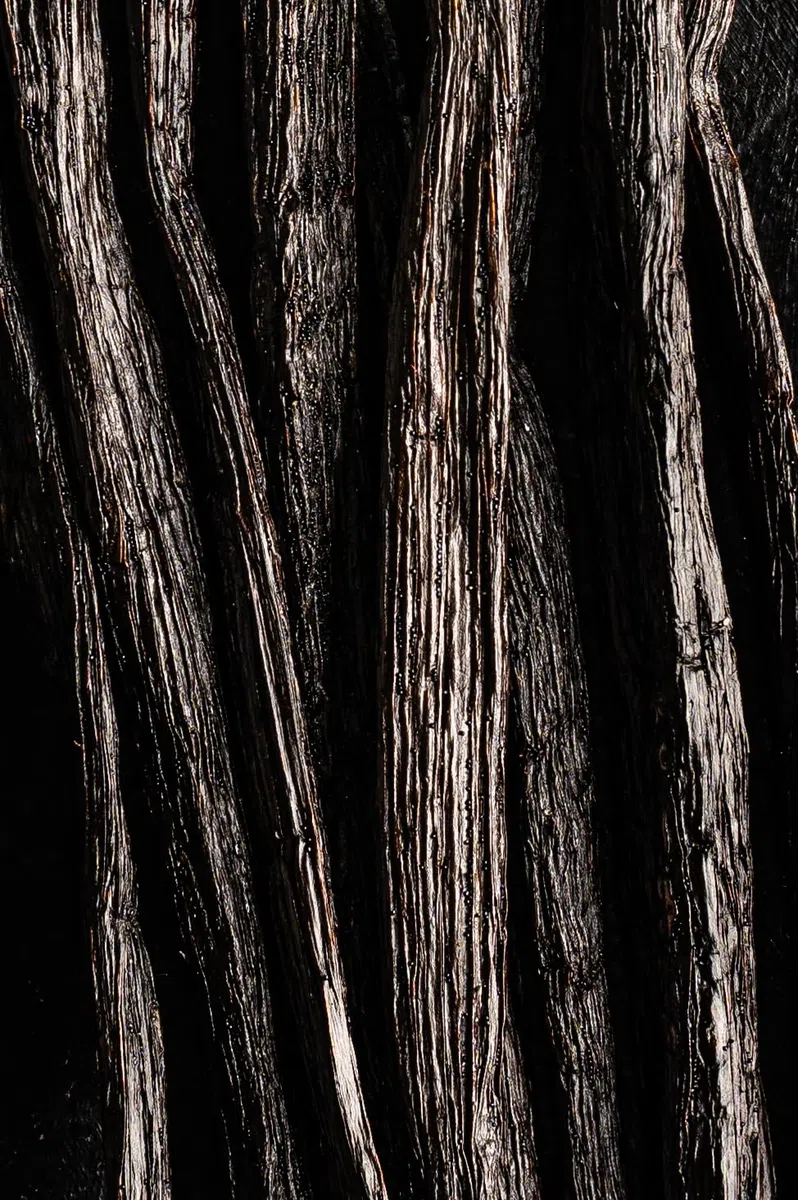 Biojoy Baccelli di vaniglia BIO (10 pezzi), Bourbon del Madagascar, Sacchetto con cerniera richiudibile - 13-15cm, Per Pasticcini e Dolci