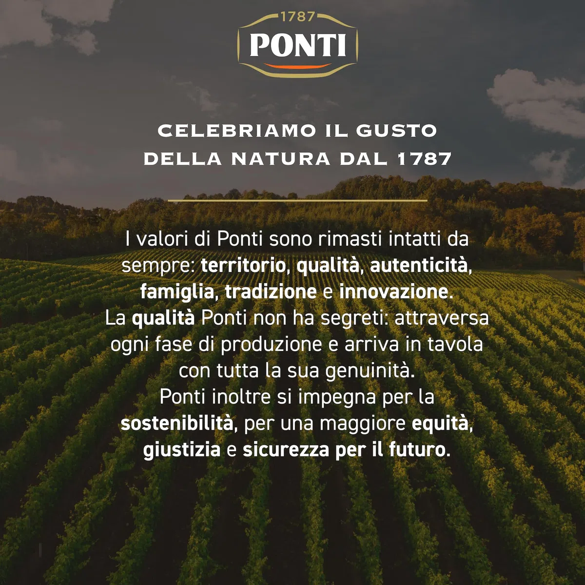 Ponti, Insalata Per Riso Bis Peperlizia, Insalata di Riso Ricca di Sapori e di Ingredienti di Qualità Freschi, 100% Made in Italy, 350 g (Confezione da 2)