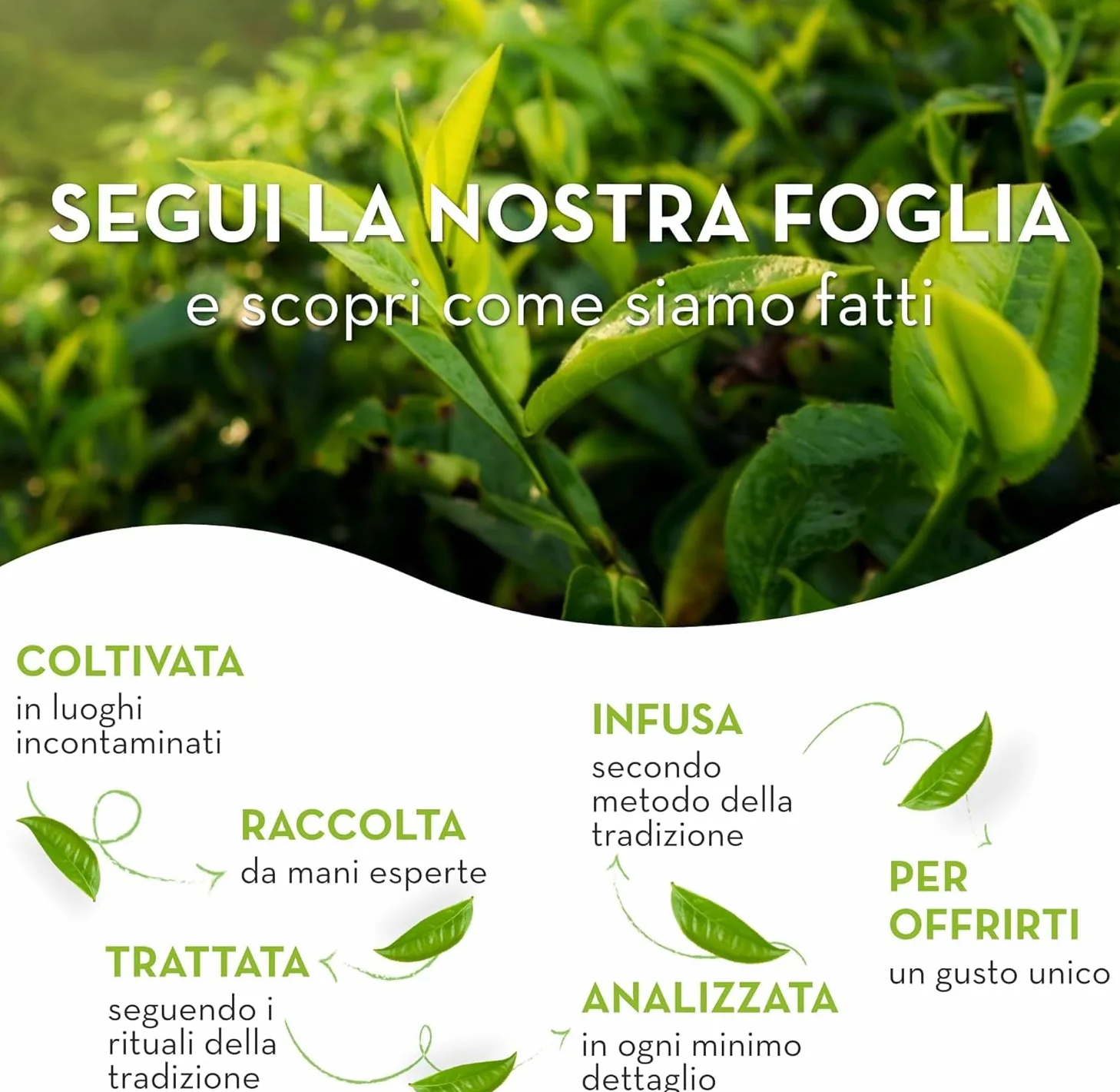 24X Confezione Per Estathé Zero Limone - The Freddo, Senza Zucchero, con Vero Infuso di Foglie di The e Succo di Limone, Bevanda Analcolica Senza Glutine, 24 Lattine da 330ml
