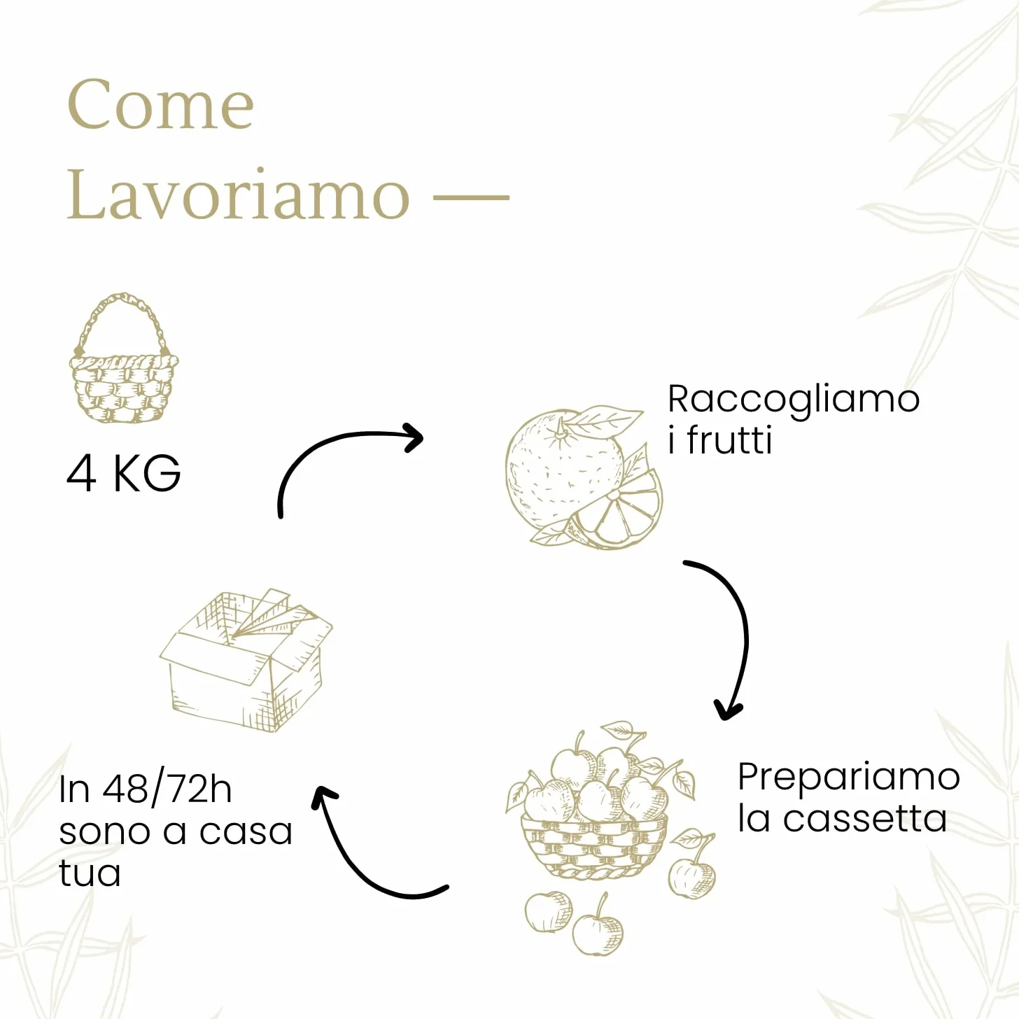 Limoni 100% Siciliani e 100% Biologici - Massima Freschezza e Sostenibilità, Limoni Raccolti Direttamente dai Nostri Alberi - 4 kg - CERTIFICATI BIOLOGICI QUESTO FA LA DIFFERENZA