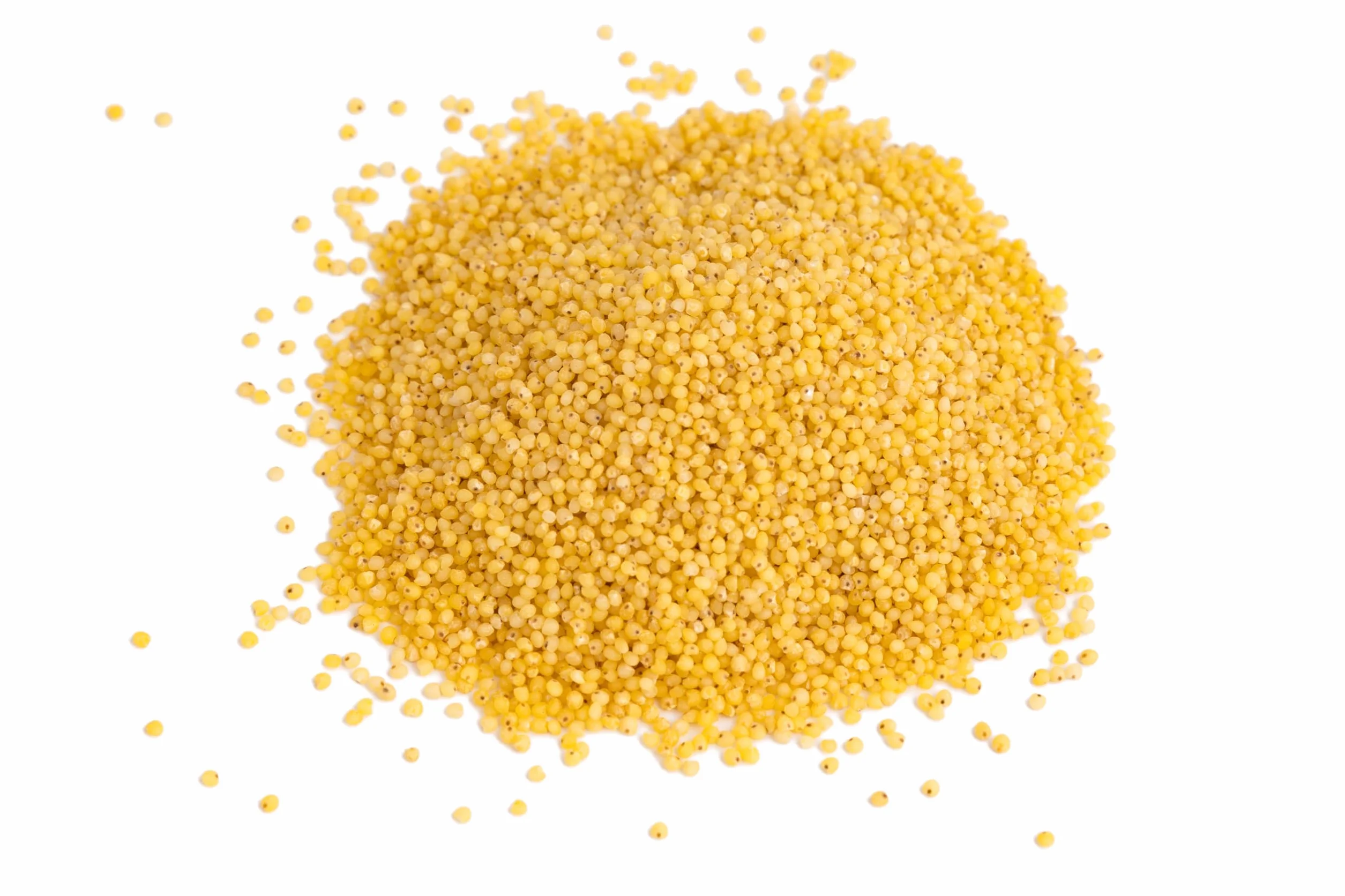 IGART Grano miglio 5kg, Fonte naturale di fibre, proteine e vitamine del gruppo B, Aggiunta a piatti di carne e piatti principali, Perfetto anche preparato in versione dolce