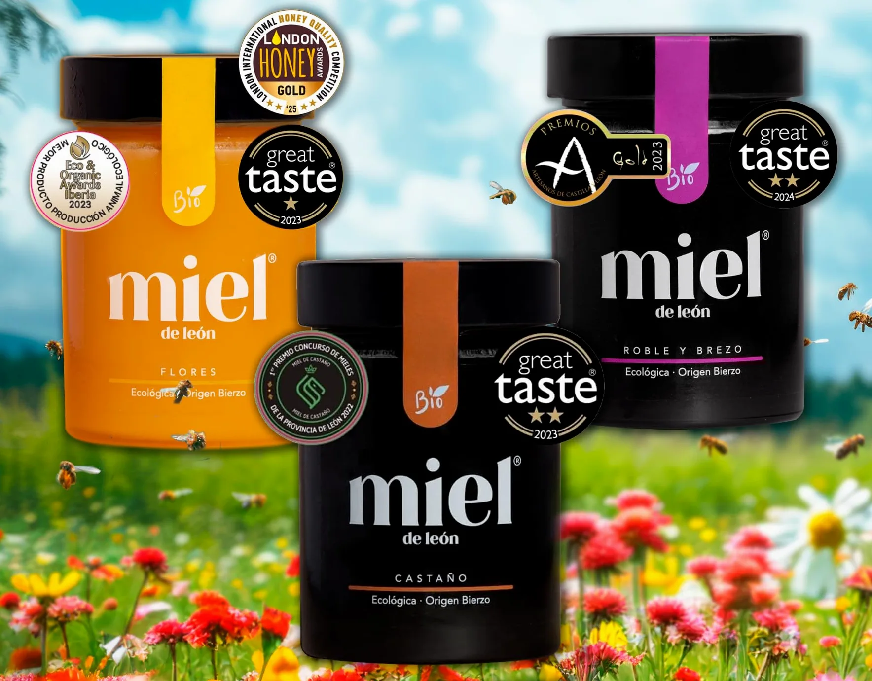 Miele puro d'api. Confezione 6 Mieli 450gr ciascuno. 1) Di fiori. 2) Di Erica e Quercia. 3) Di Castagno. Prodotto artigianale di propria raccolta. Origine: Spagna.