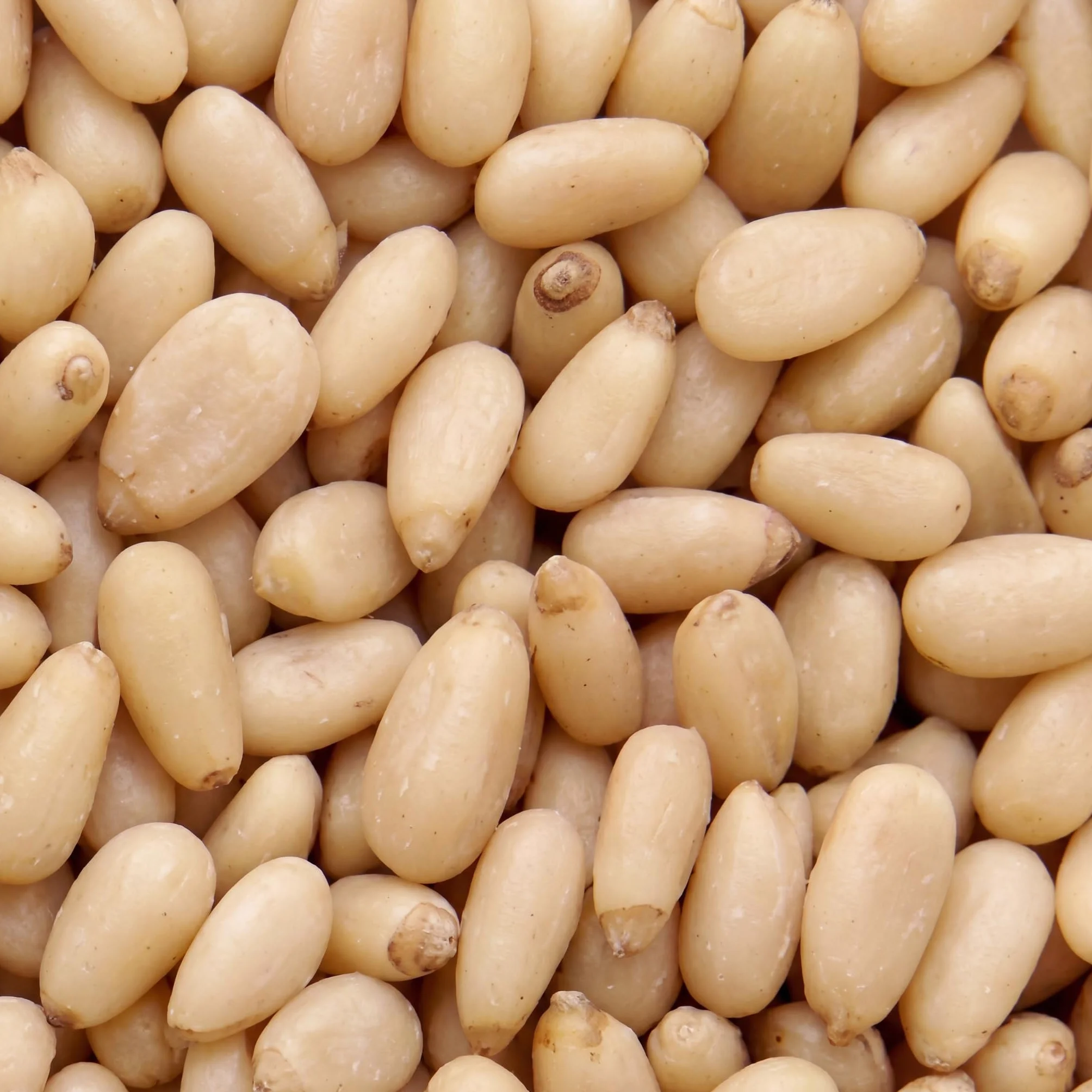 Pinoli naturali 1 kg nut&me | Pinoli sgusciati | Ideali per il pesto | Non tostati |