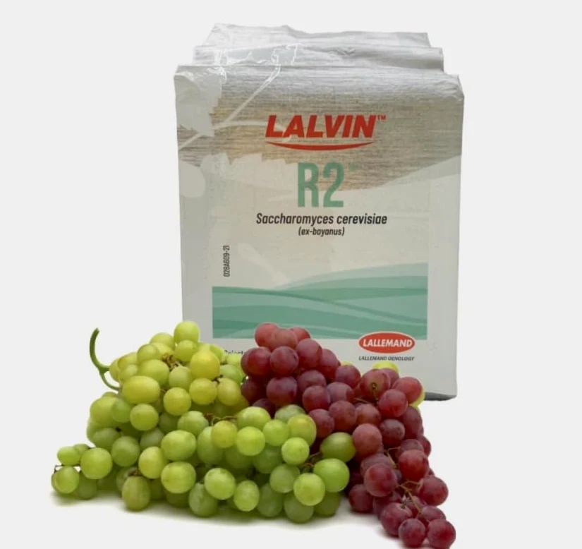 Generico gr.500 Lievito enologico LALVIN R2 per Grandi Vini Bianchi, Rossi e rosati (Saccharomyces cerevisiae bayanus)
