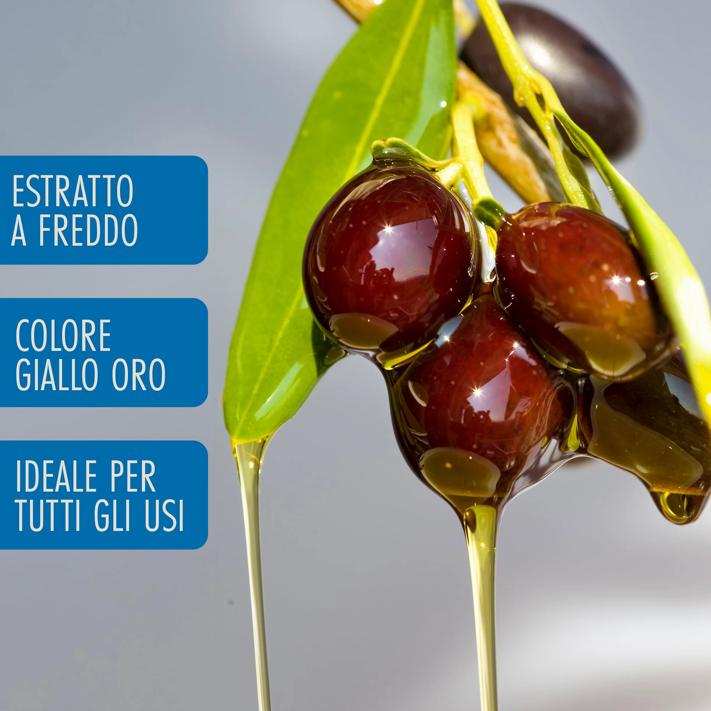 Olio Extravergine di Oliva Classico De Cecco | 6 Bottiglie da 1 L | Totale 6 Litri | Formato Scorta Convenienza