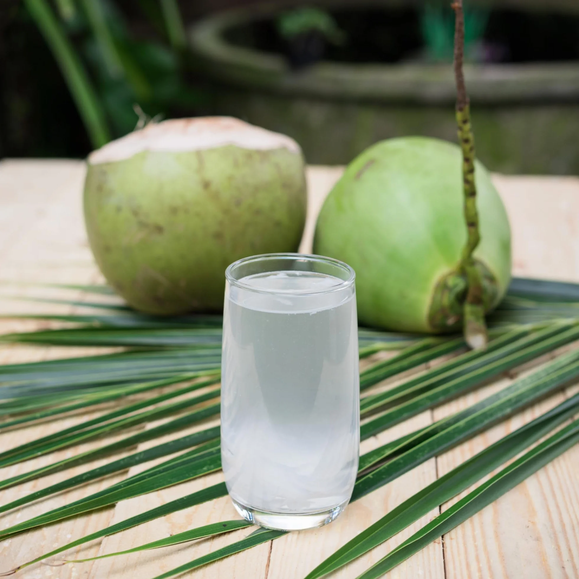 BAMBOO TREE Acqua di cocco, Multipack, 12 X 1 LTR