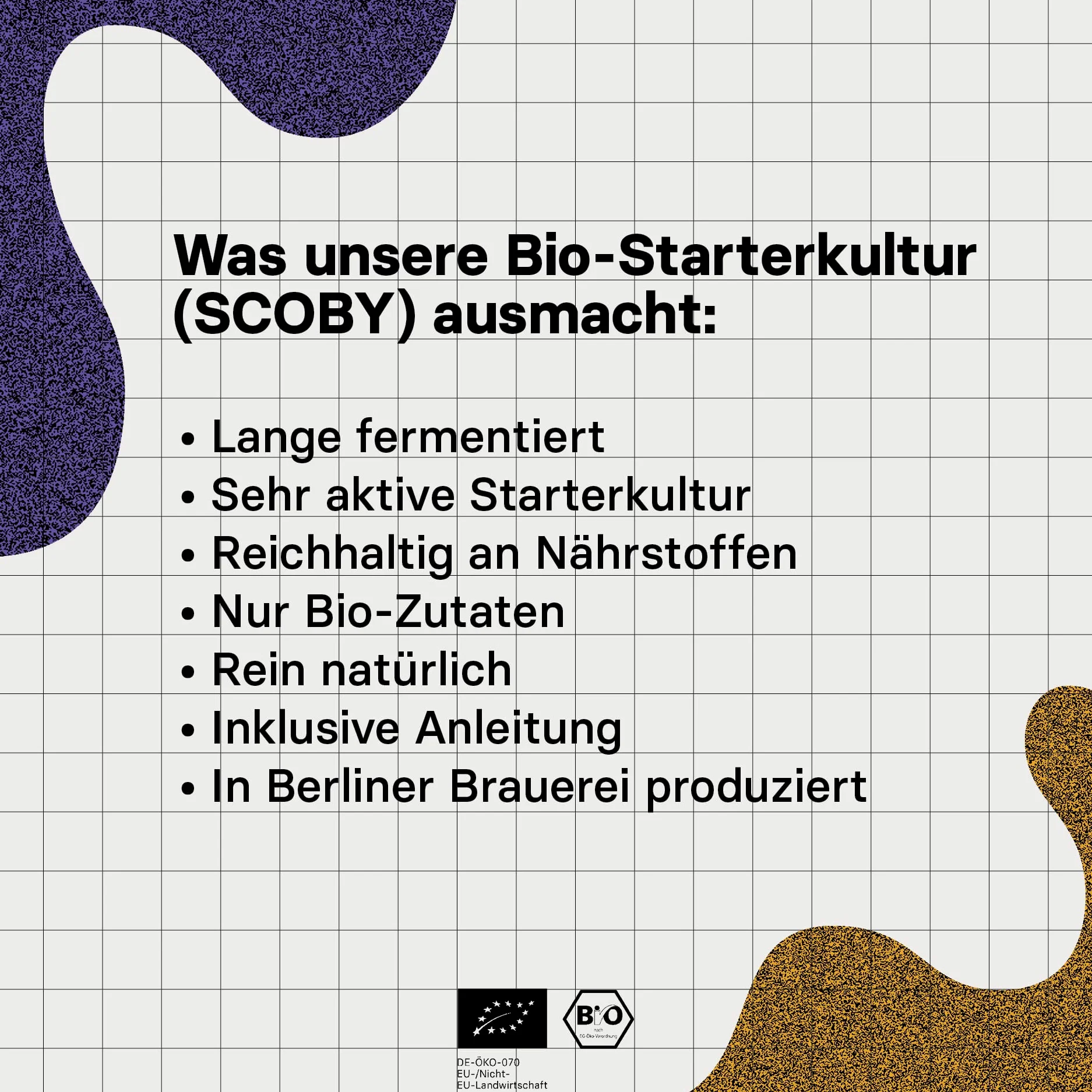 Kombucha Brewing Kit XL Bundlecon 2x coltura starter SCOBY biologica, 4 gusti di infusione, con 2x vaso di fermentazione, 2 bottiglia swing-top, zucchero di canna grezzo biologico, cannuccia di vetro