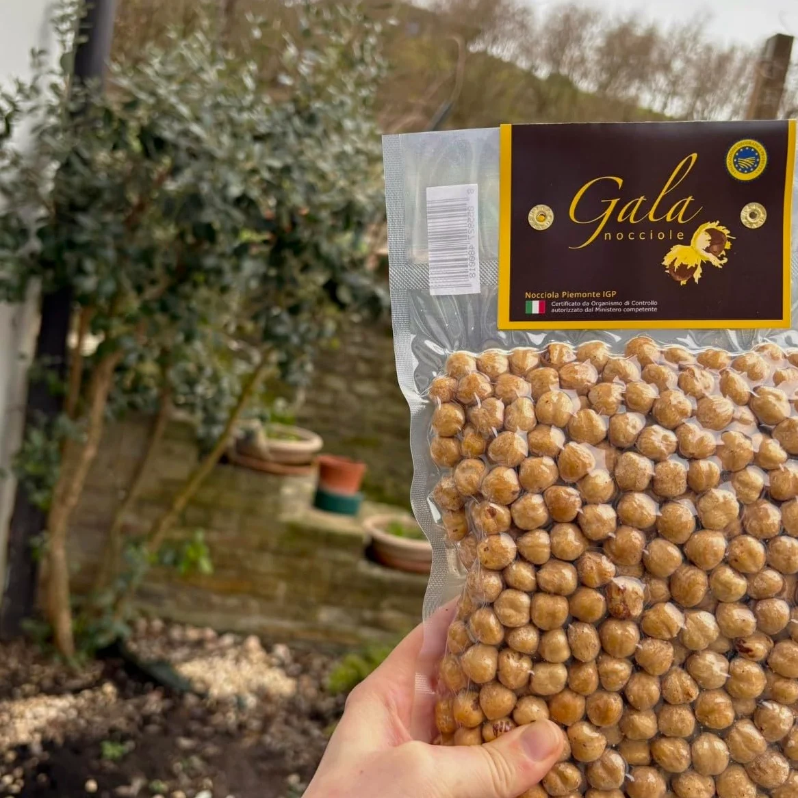 Gala Nocciole - Nocciole Piemonte IGP 500 g, Italiane Premium, Frutta Secca Naturale, Ricche di Gusto, Ideali per Dolci e Snack